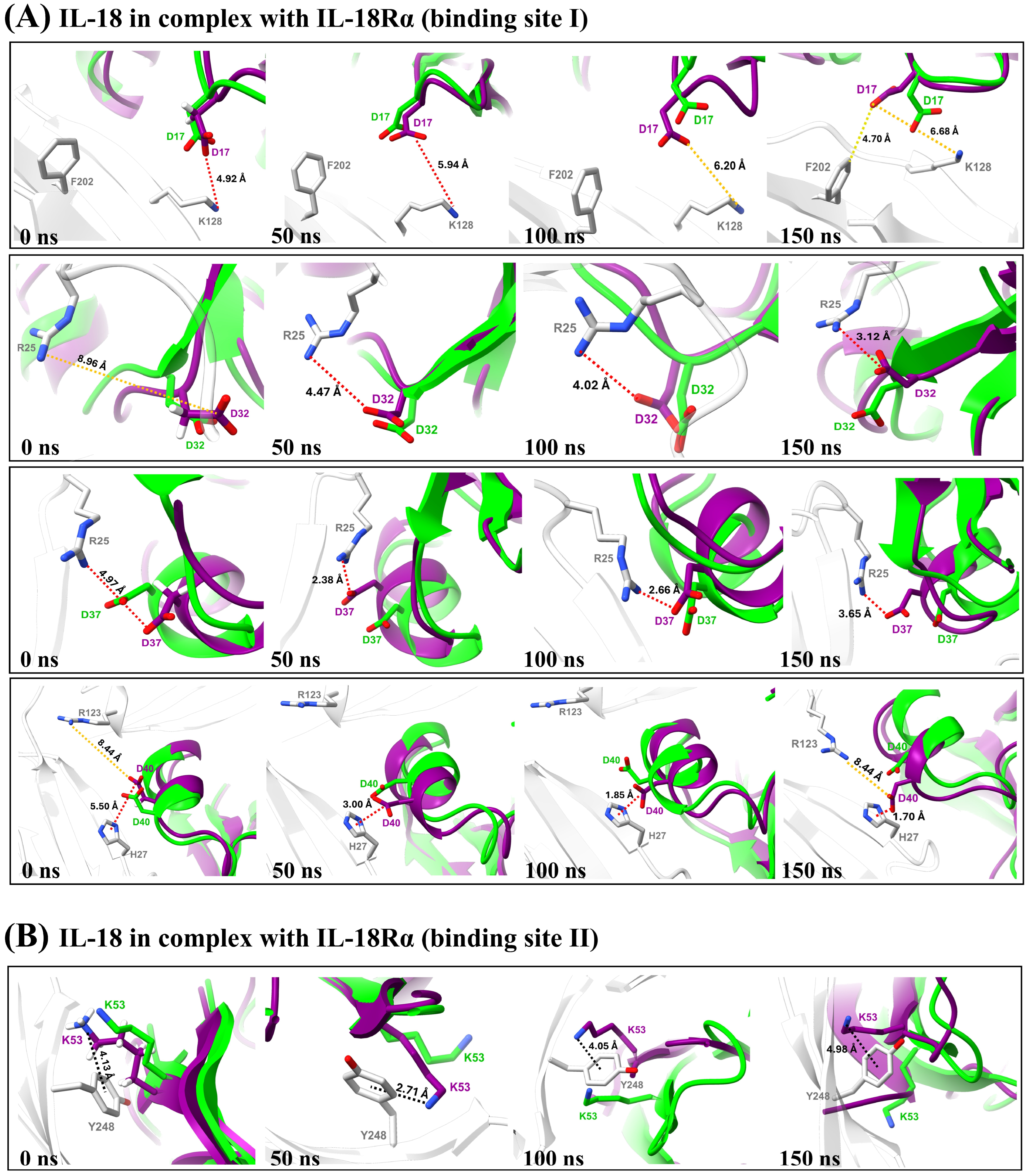 Biomolecules 15 01360 g006 Biomolecules 15 01360 g006