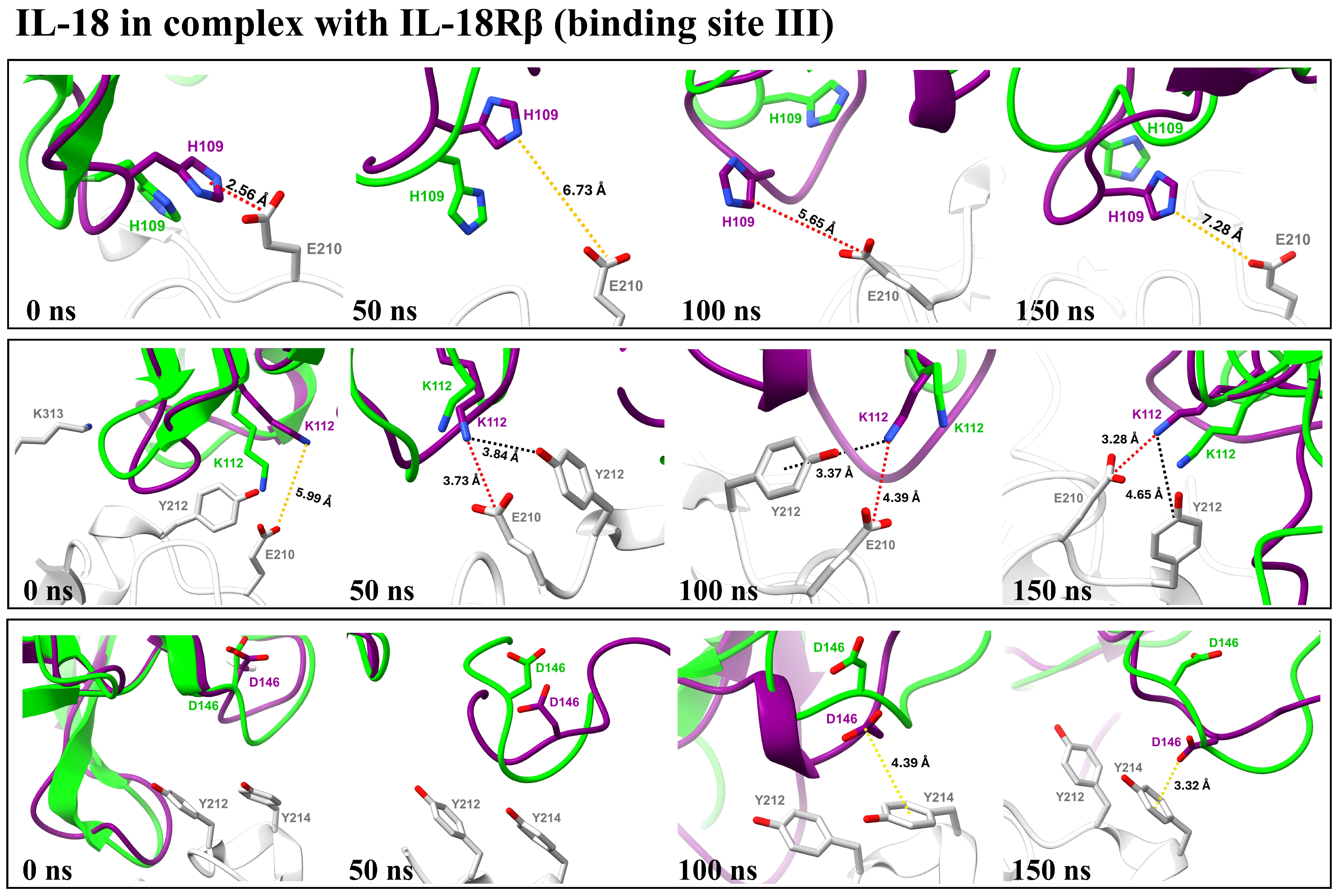 Biomolecules 15 01360 g007 Biomolecules 15 01360 g007