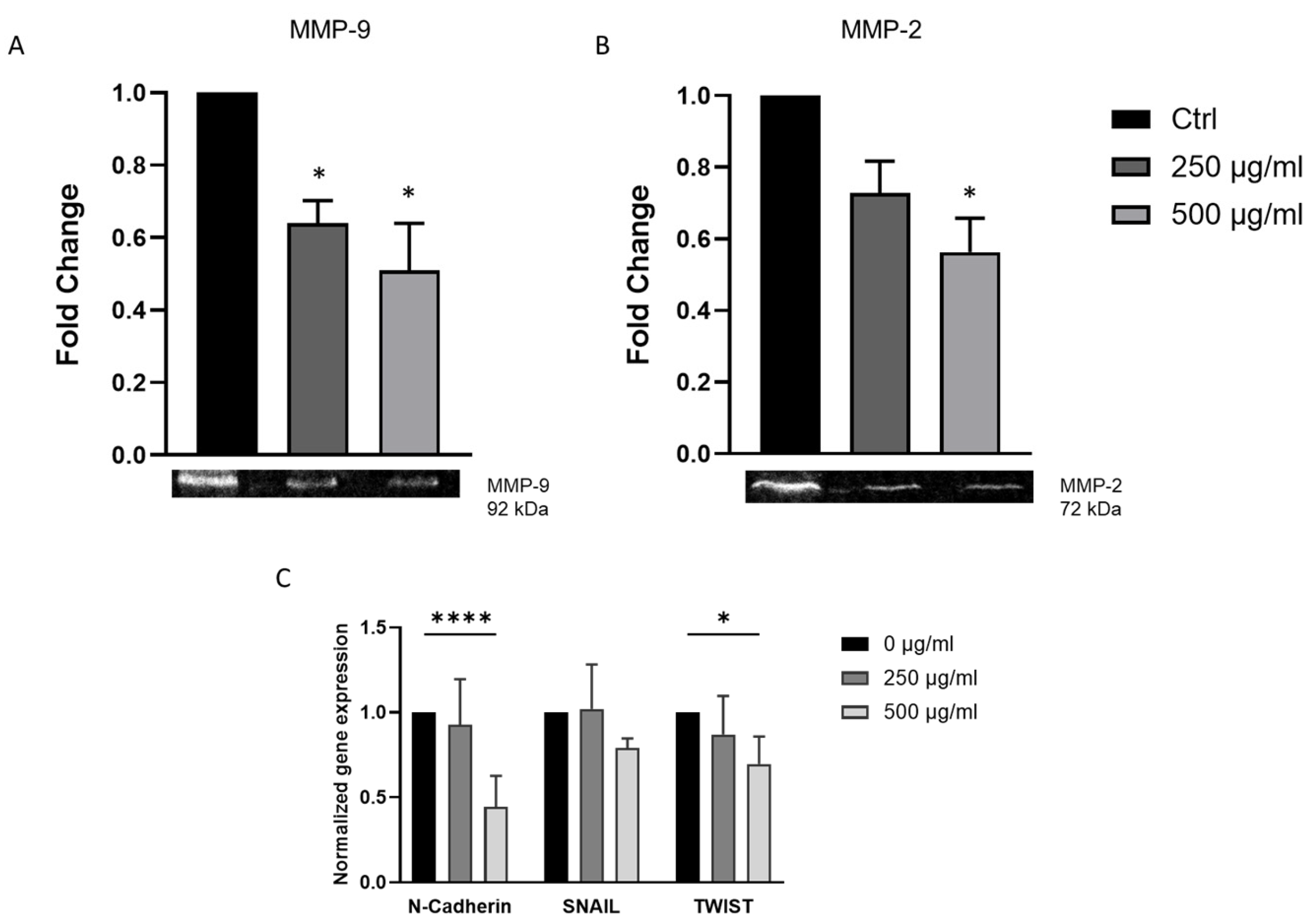 Biomolecules 15 01361 g003 Biomolecules 15 01361 g003