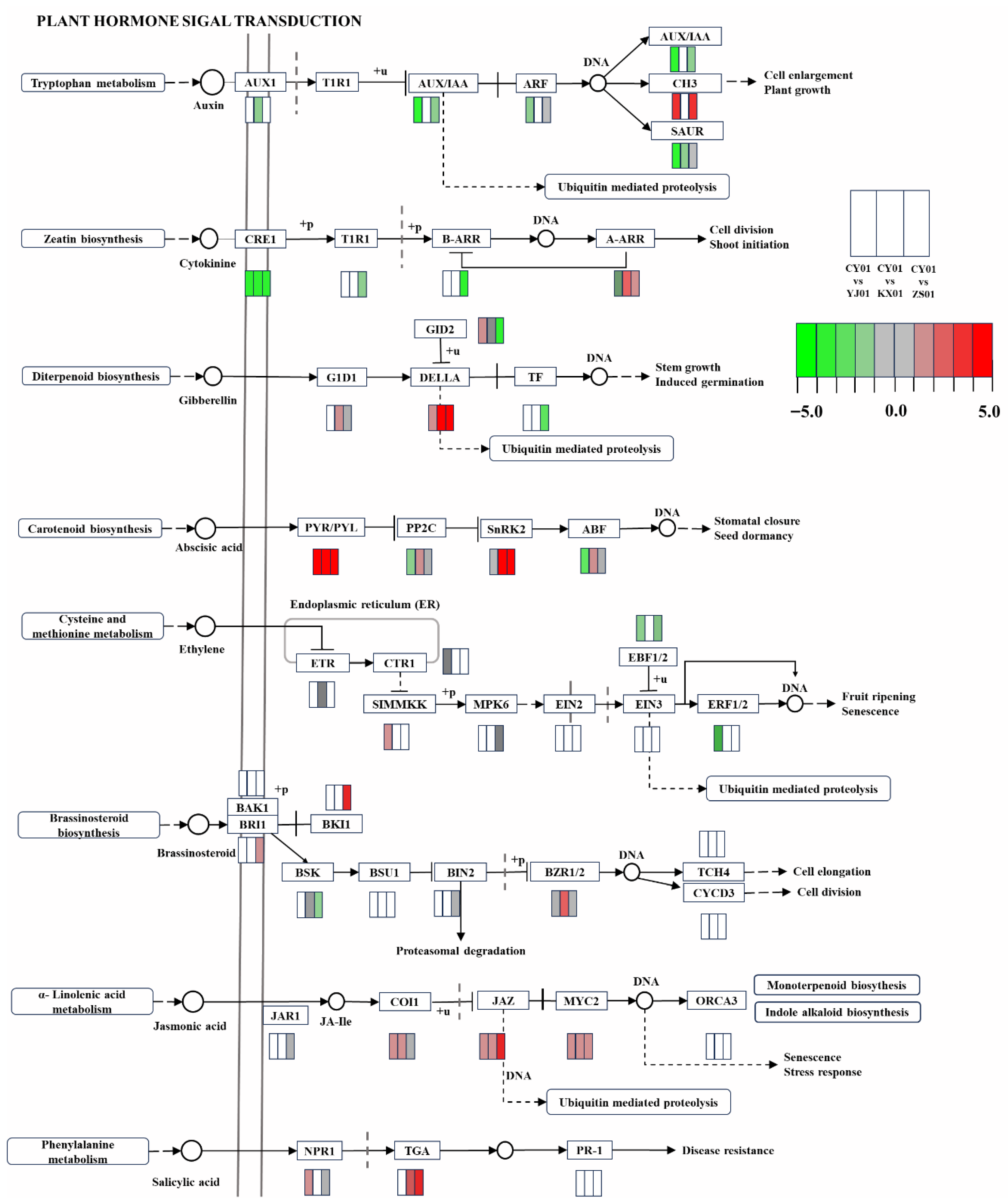 Biomolecules 15 01366 g003 Biomolecules 15 01366 g003