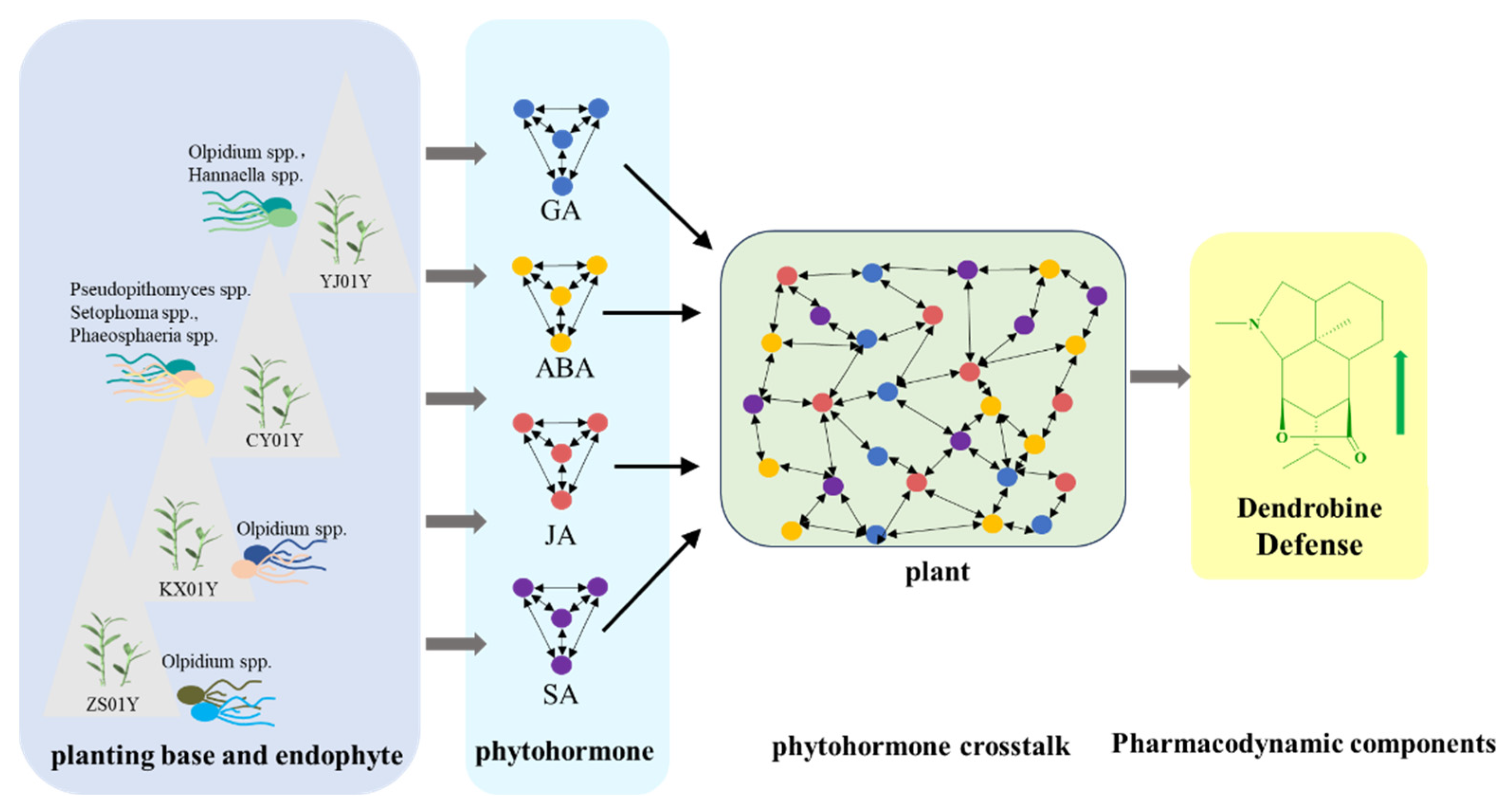 Biomolecules 15 01366 g008 Biomolecules 15 01366 g008