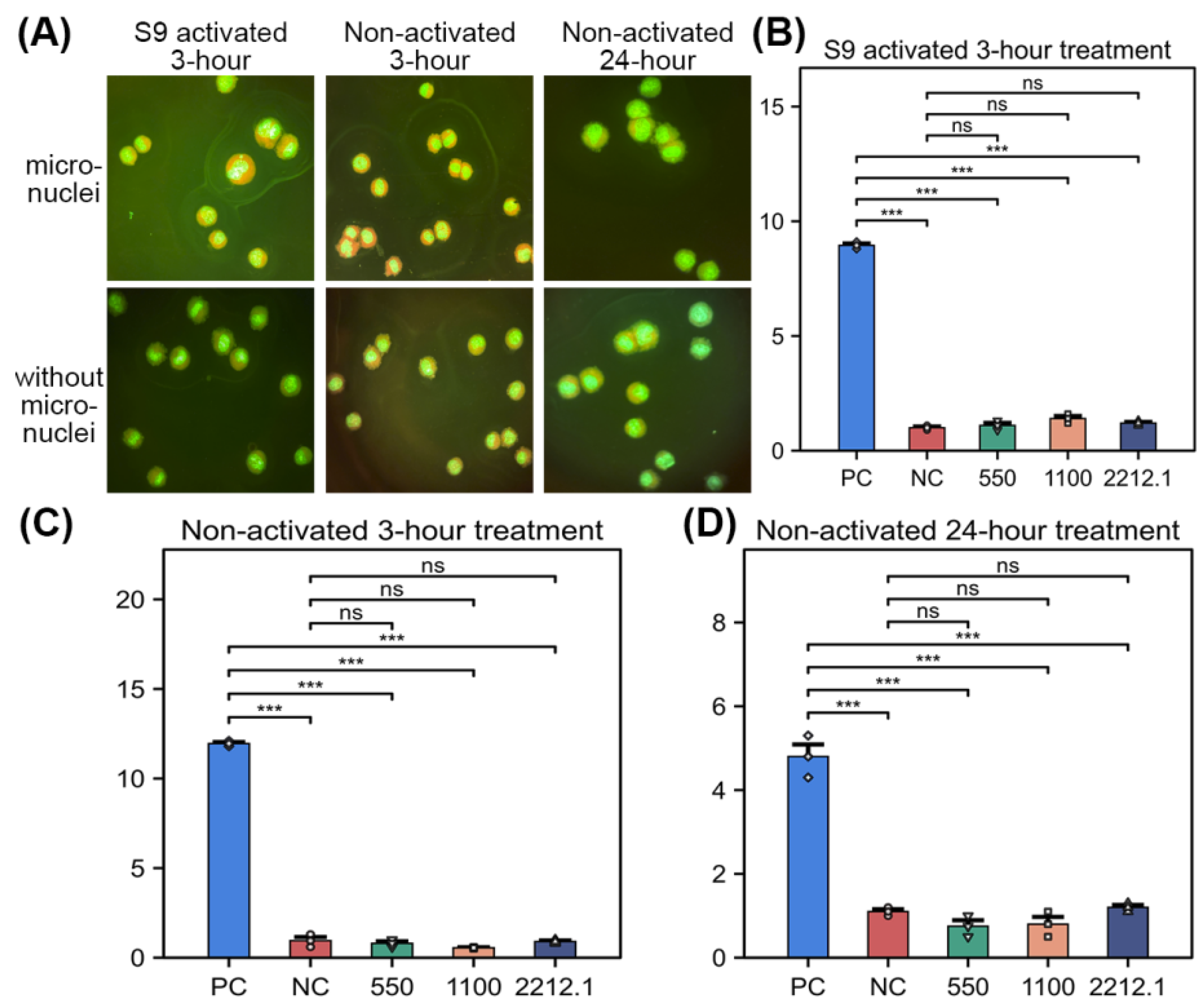 Biomolecules 15 01368 g001