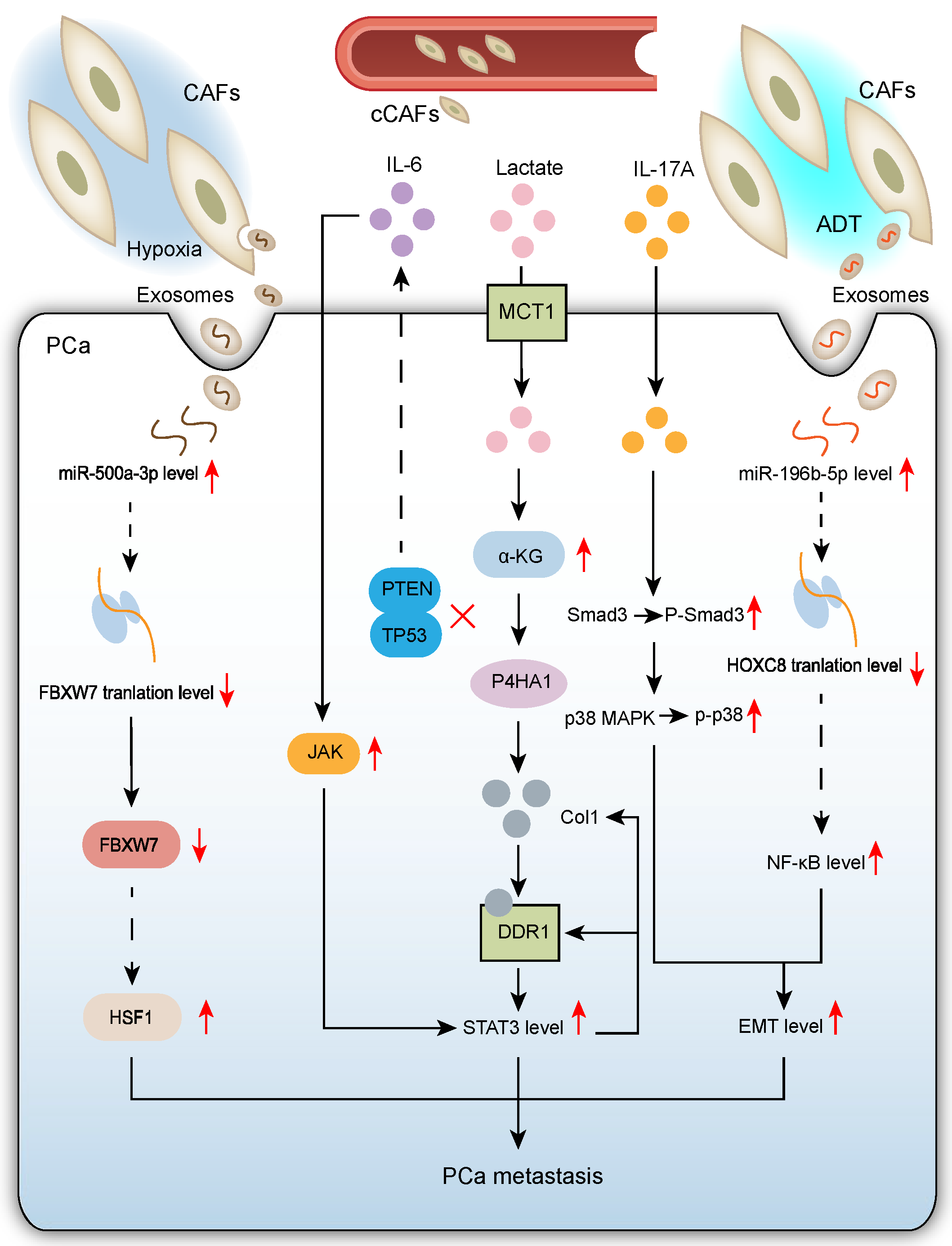 Biomolecules 15 01369 g002 Biomolecules 15 01369 g002