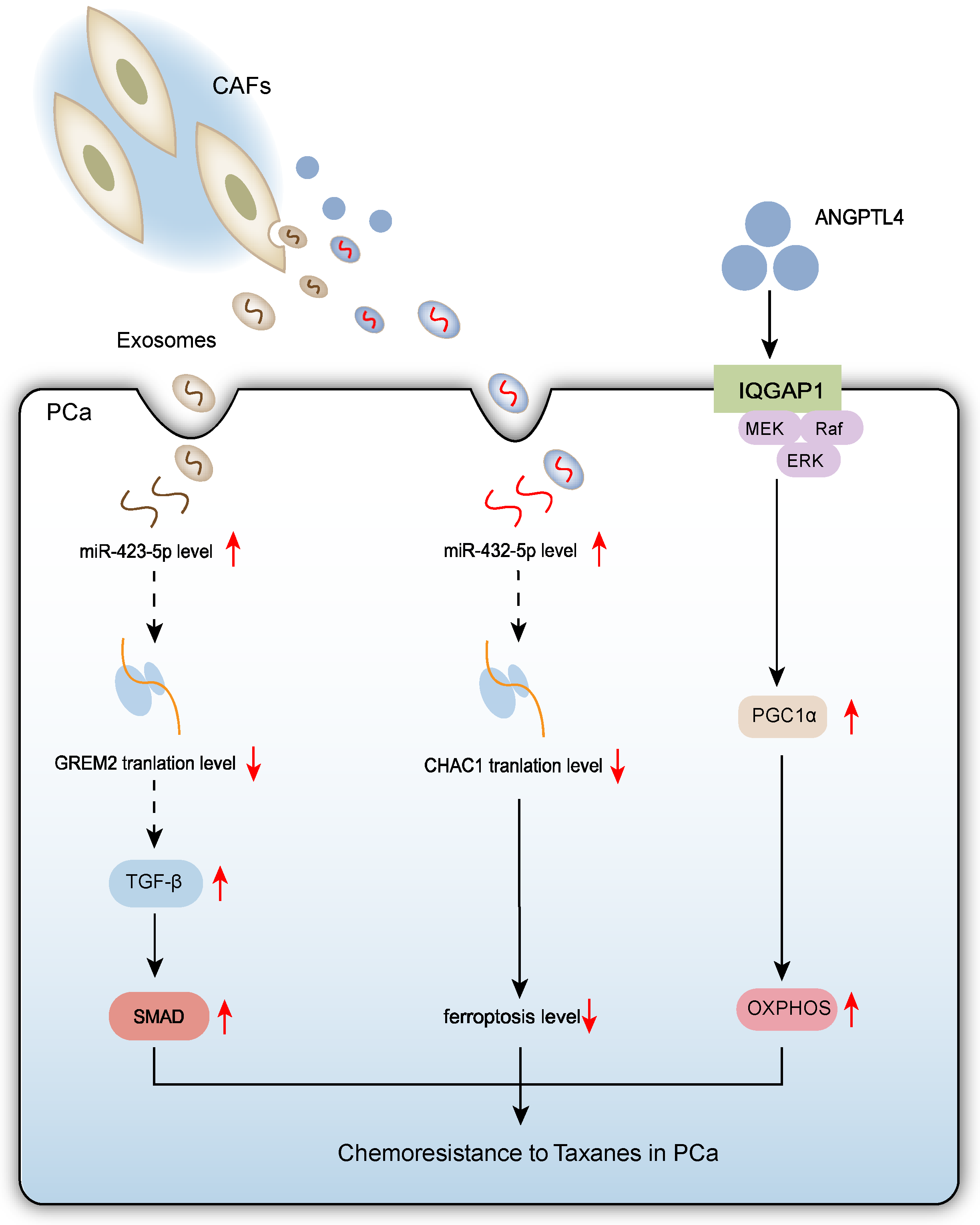 Biomolecules 15 01369 g003 Biomolecules 15 01369 g003
