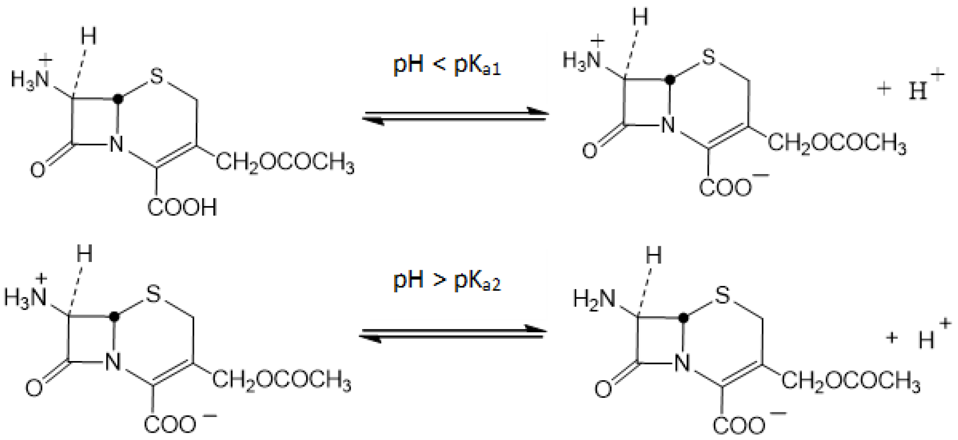 Biomolecules 15 01371 g001