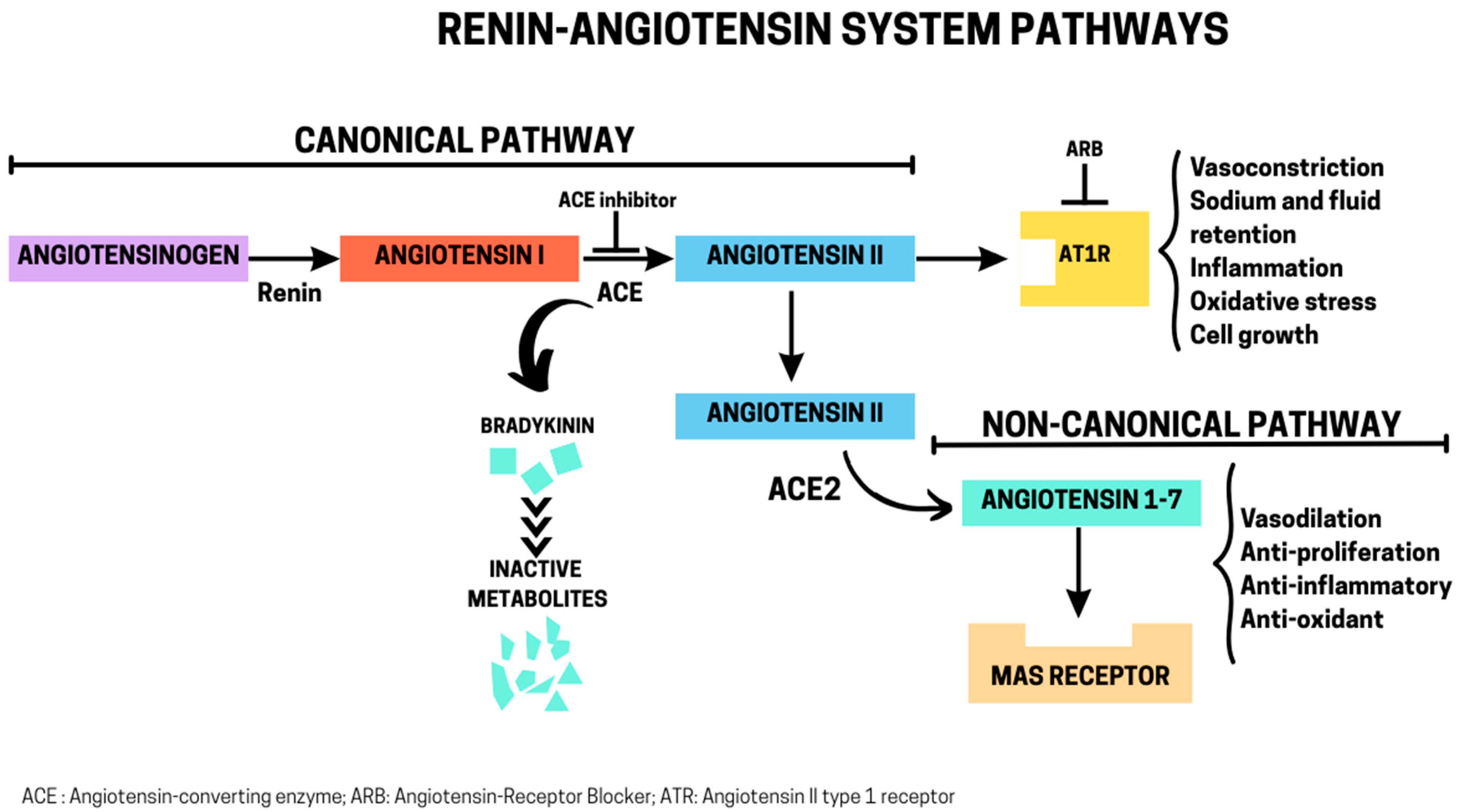 Biomolecules 15 01378 g001