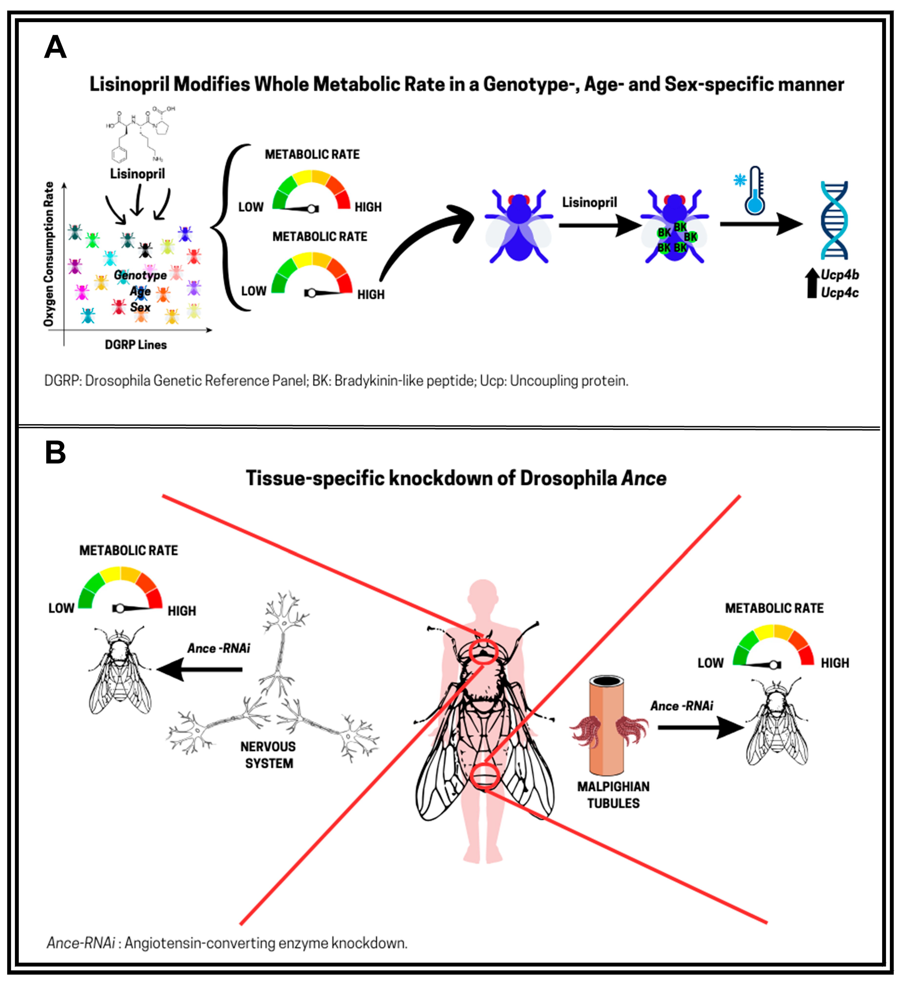 Biomolecules 15 01378 g003