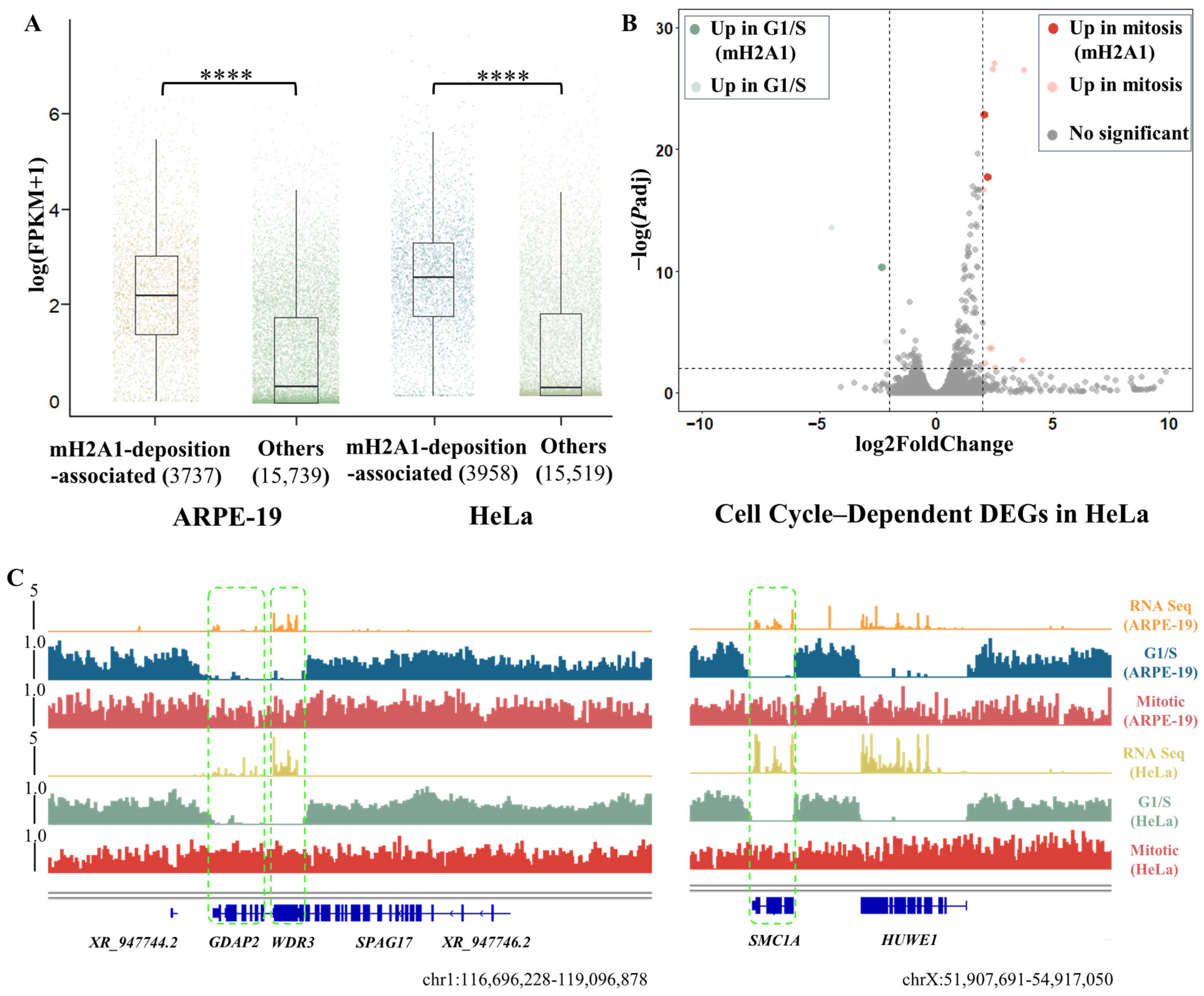Biomolecules 15 01386 g002 Biomolecules 15 01386 g002