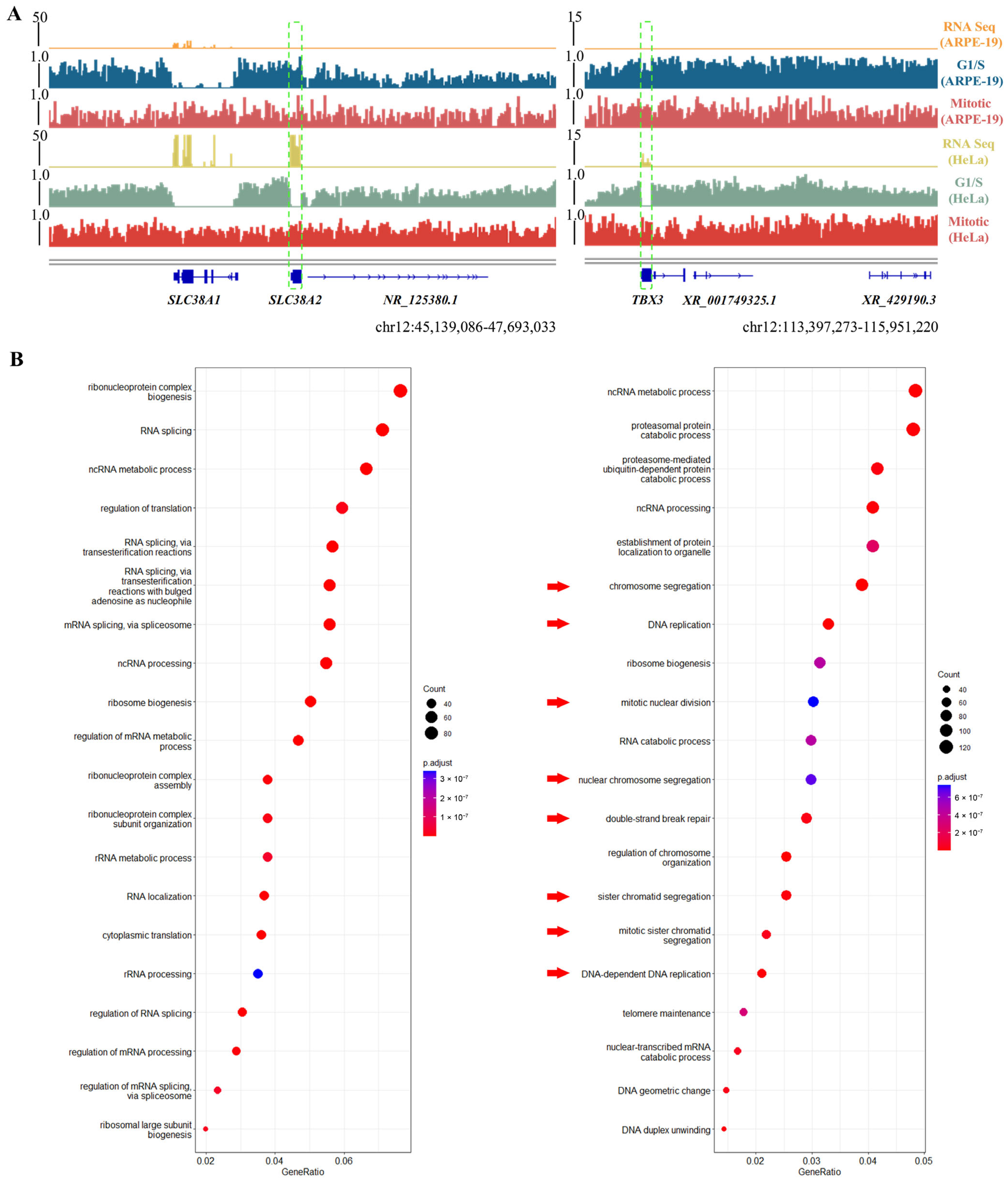 Biomolecules 15 01386 g003 Biomolecules 15 01386 g003