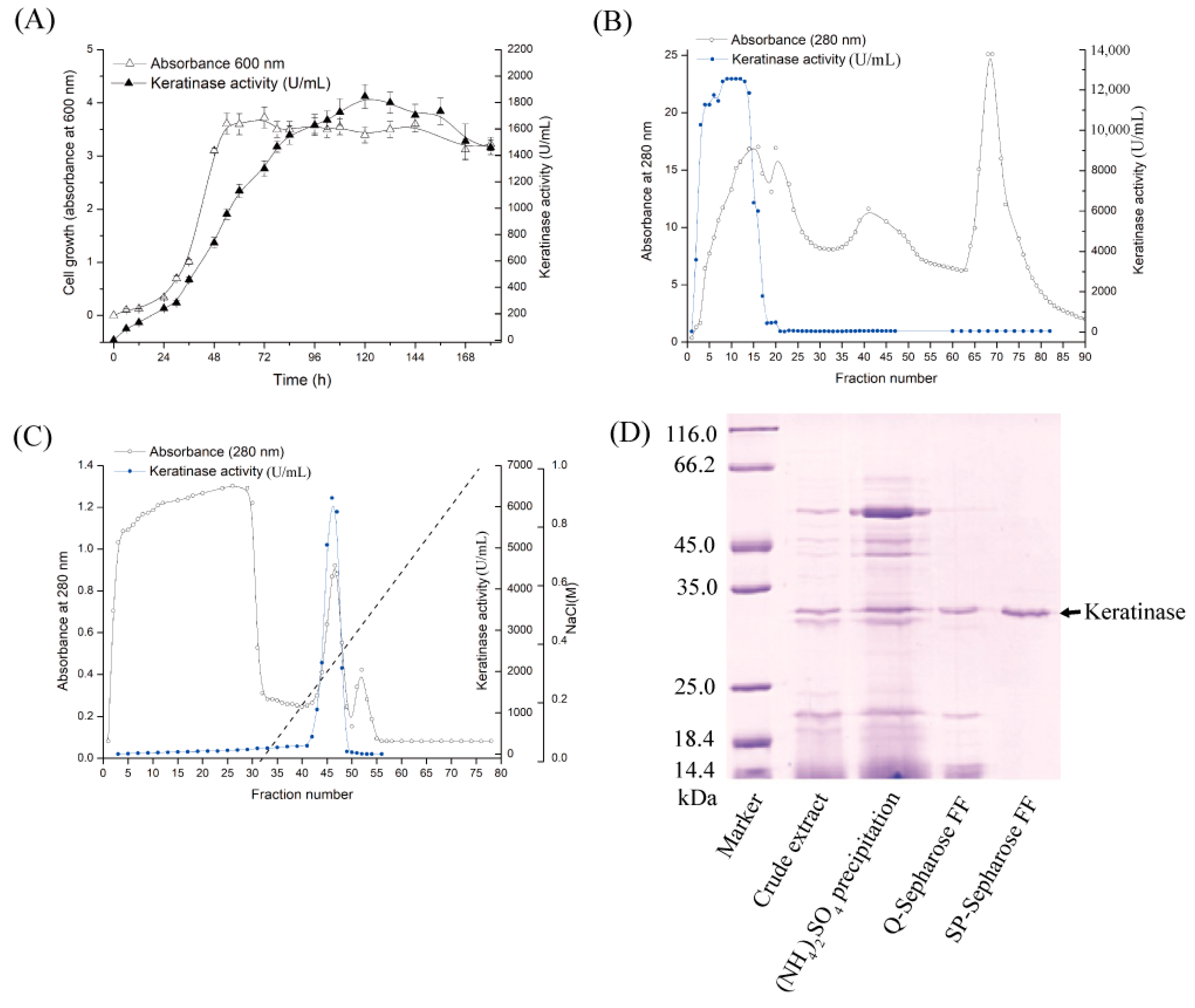 Biomolecules 15 01389 g001
