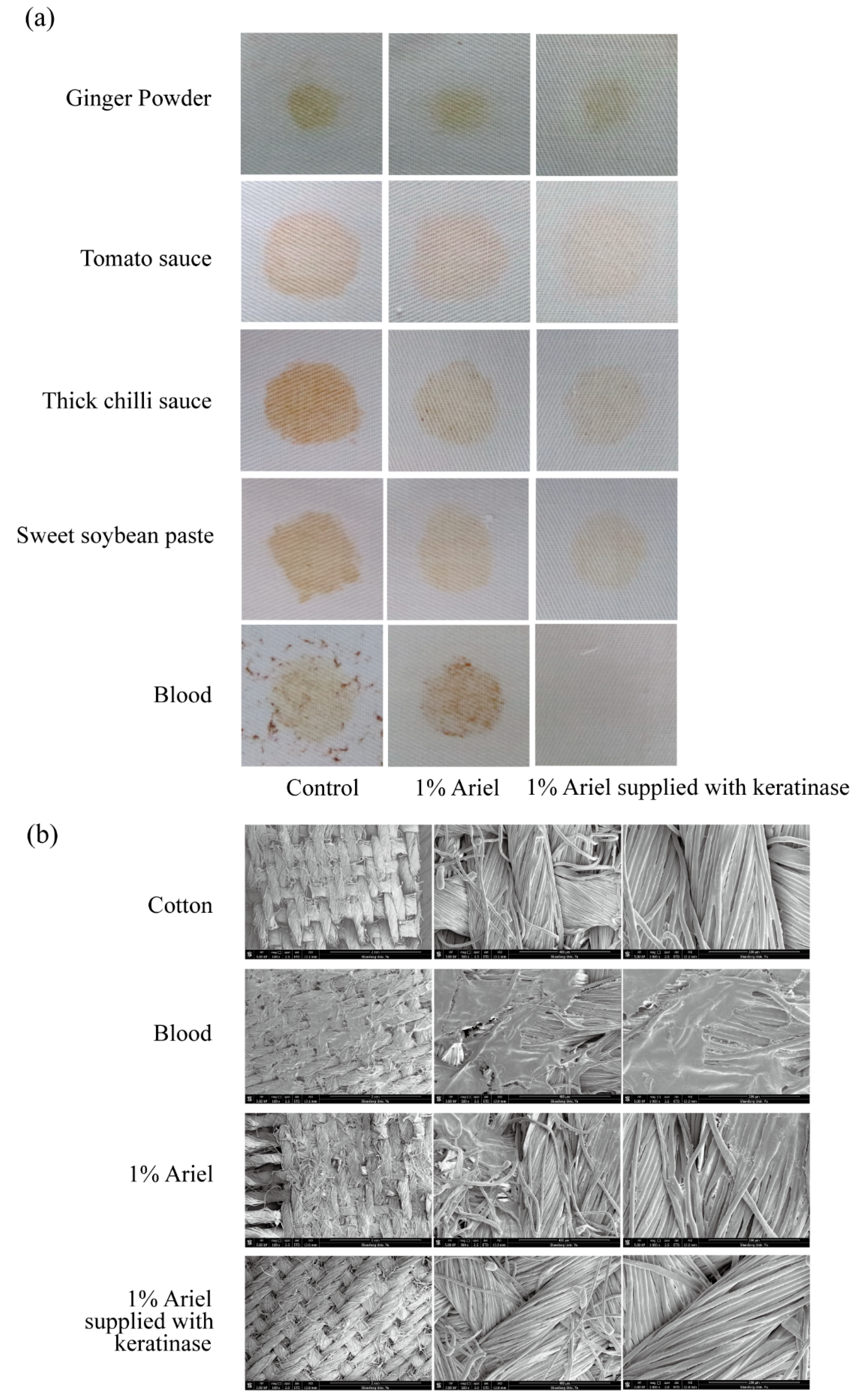 Biomolecules 15 01389 g005