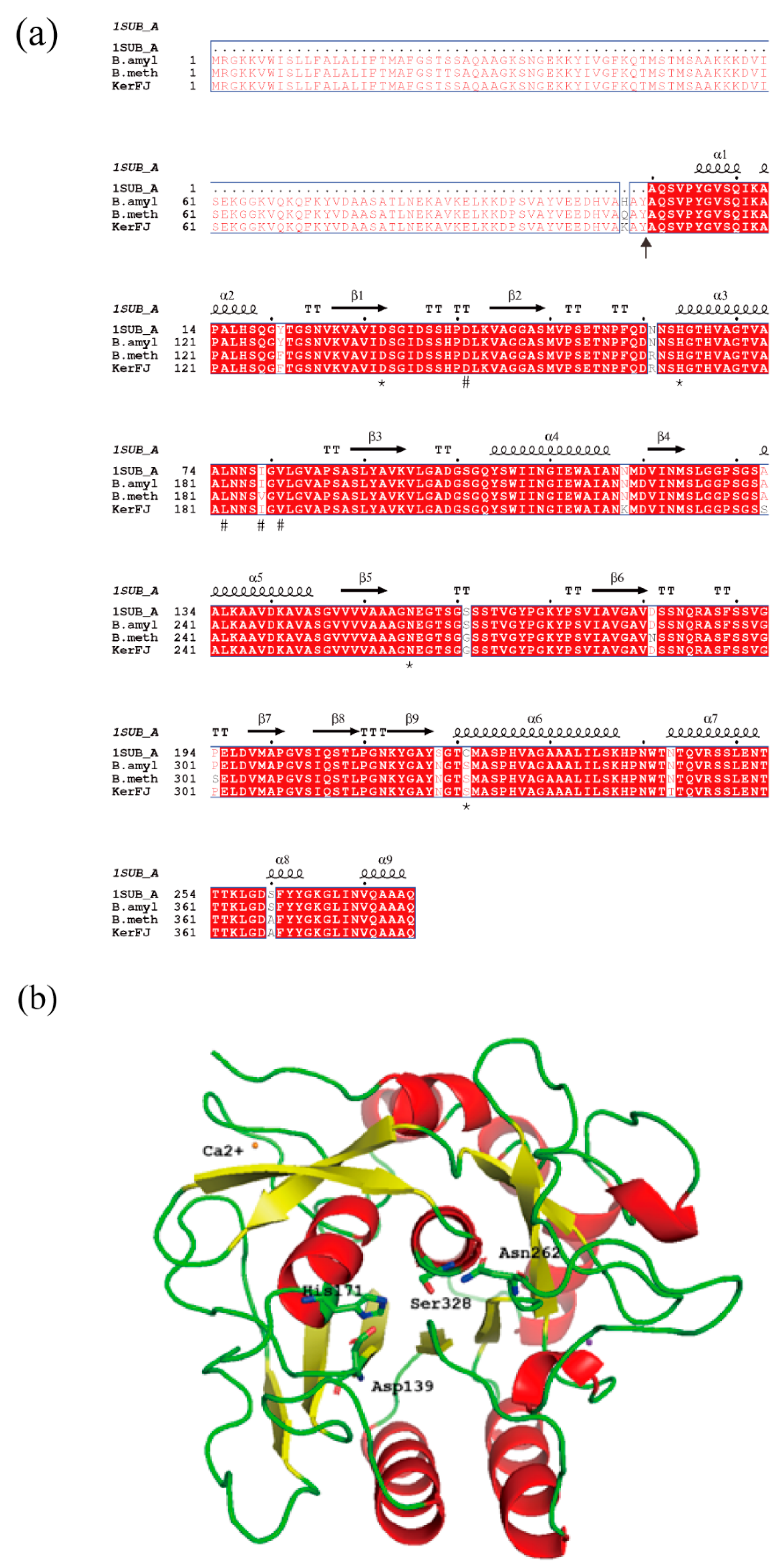 Biomolecules 15 01389 g006