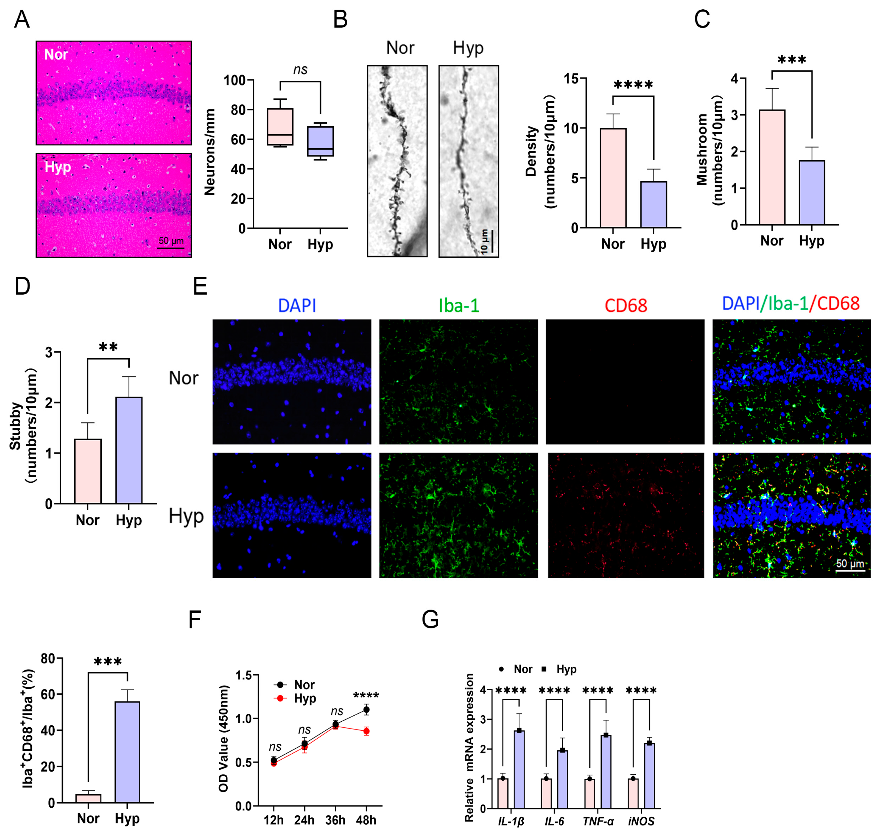 Biomolecules 15 01391 g002 Biomolecules 15 01391 g002