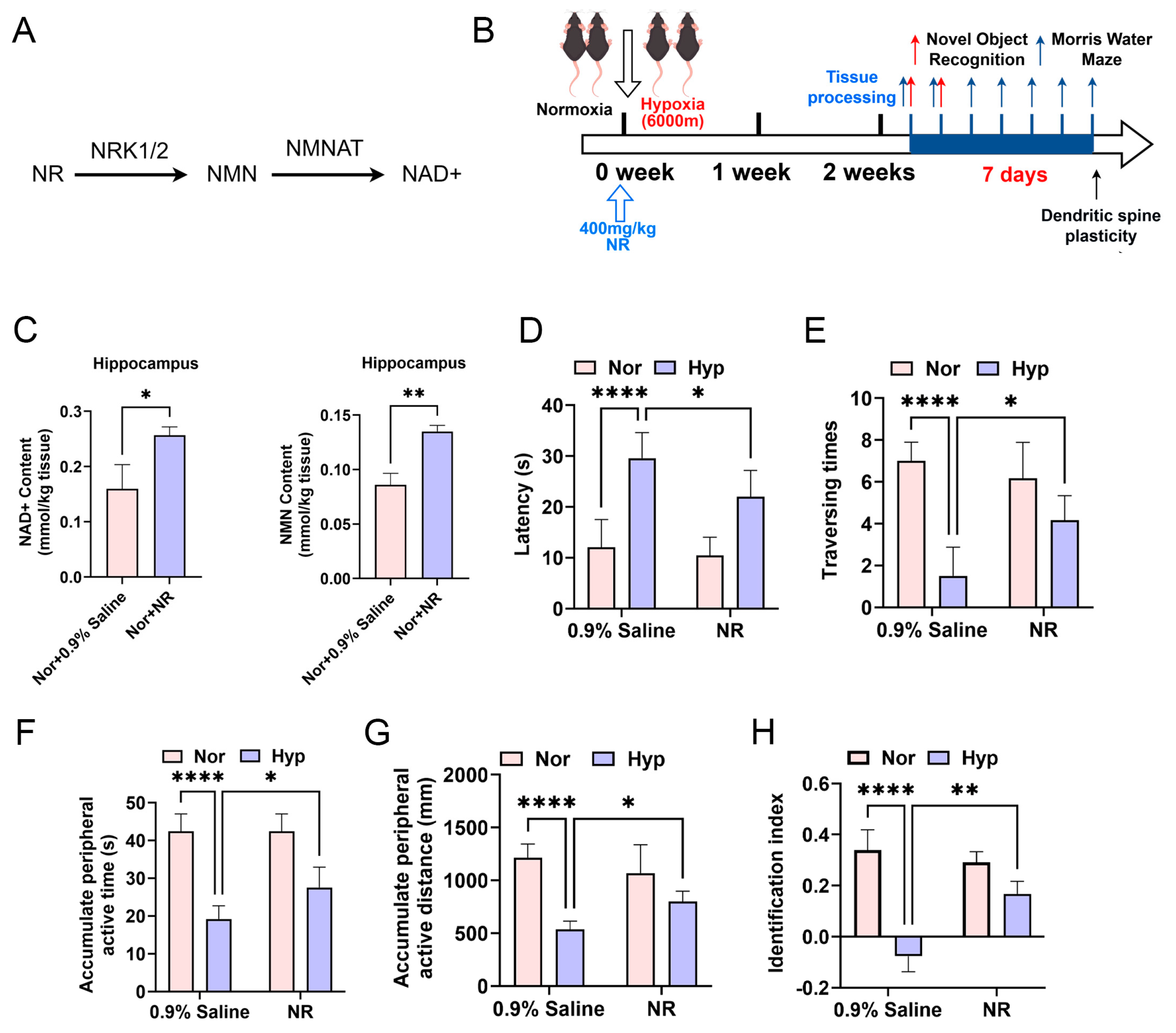 Biomolecules 15 01391 g003 Biomolecules 15 01391 g003