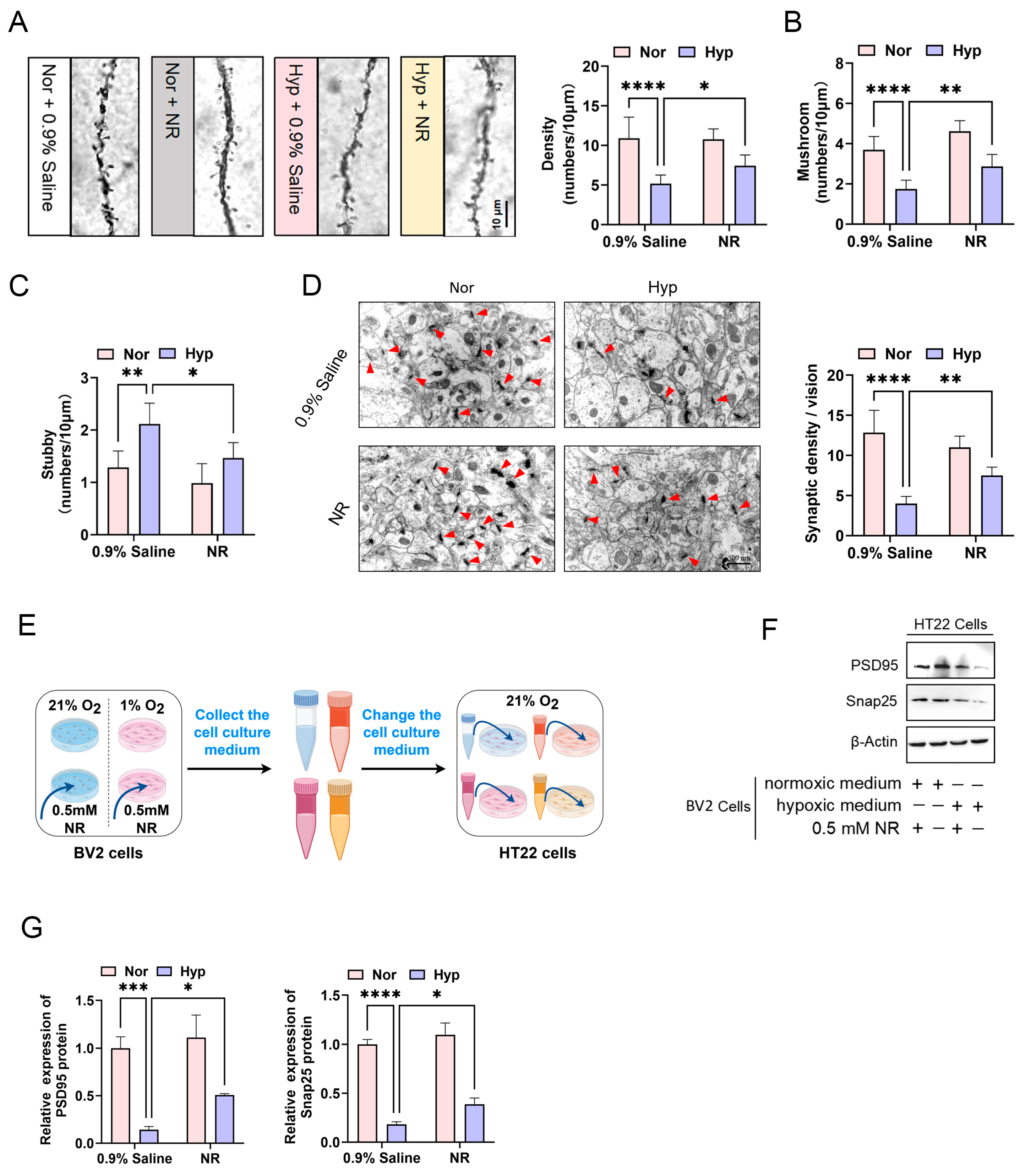 Biomolecules 15 01391 g004 Biomolecules 15 01391 g004