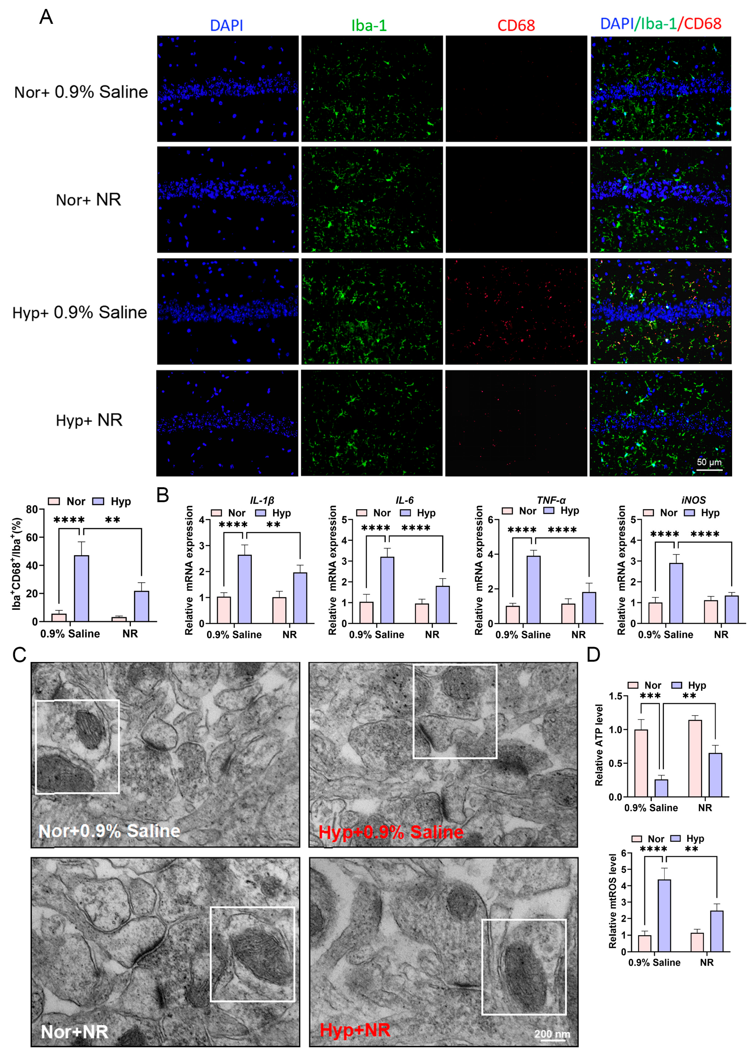 Biomolecules 15 01391 g005 Biomolecules 15 01391 g005