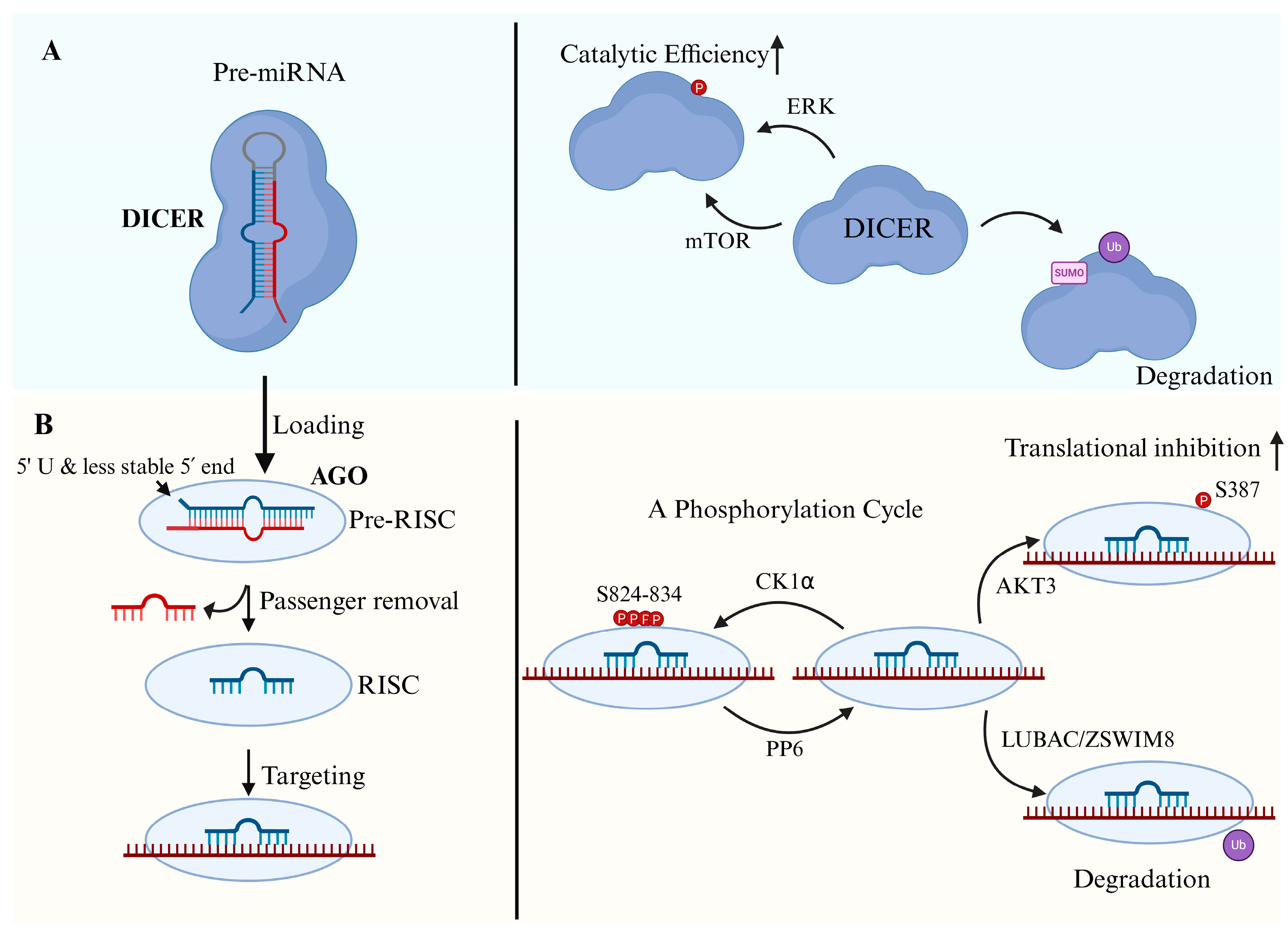 Biomolecules 15 01393 g002 Biomolecules 15 01393 g002