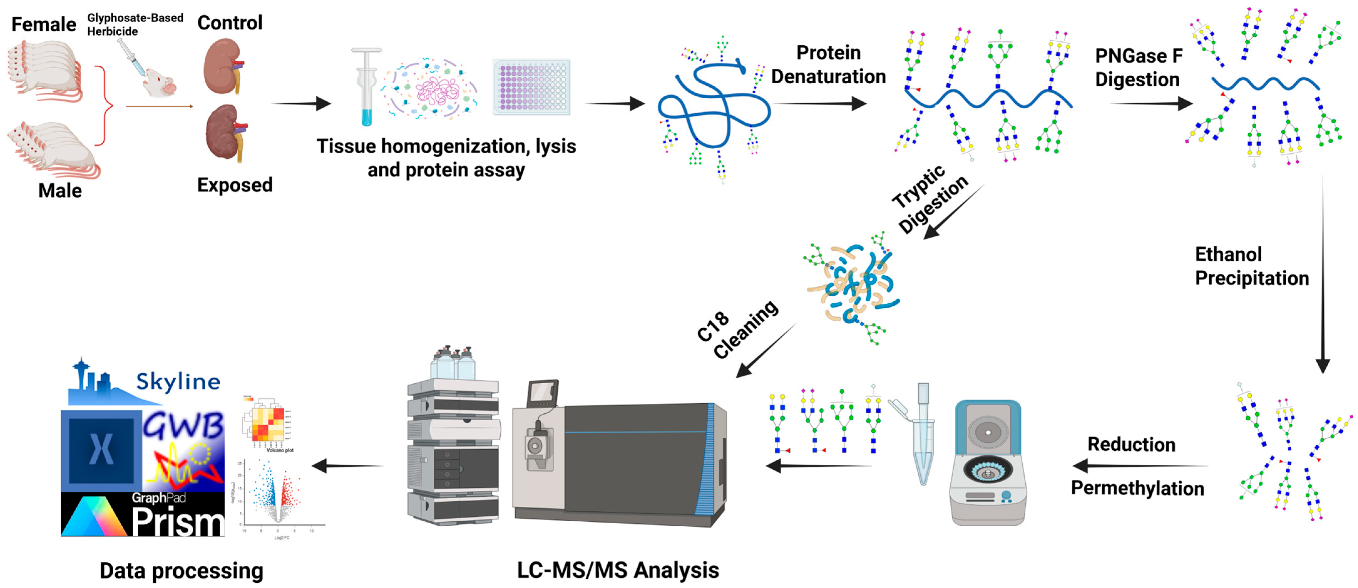 Biomolecules 15 01399 g001 Biomolecules 15 01399 g001