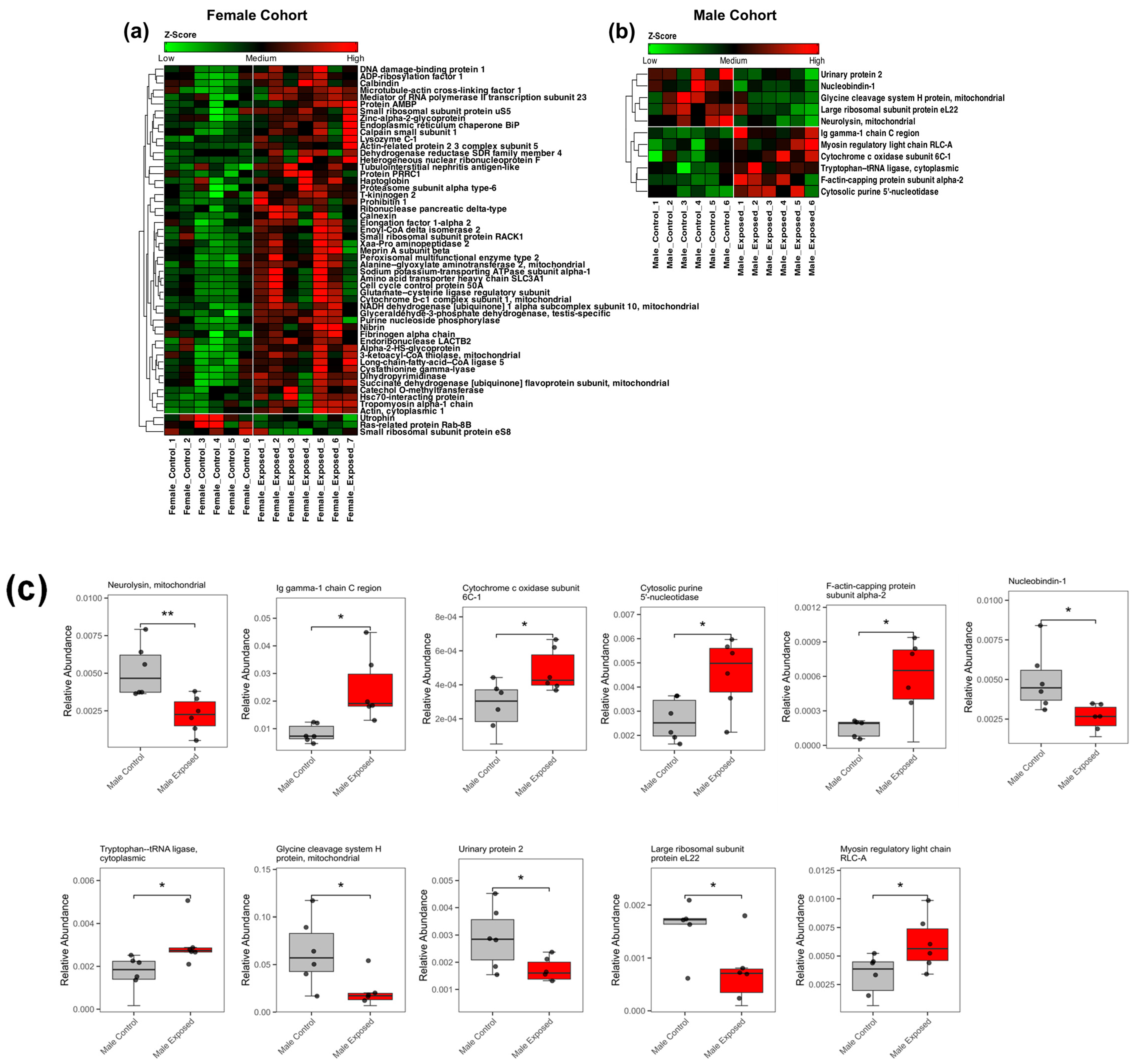 Biomolecules 15 01399 g005 Biomolecules 15 01399 g005