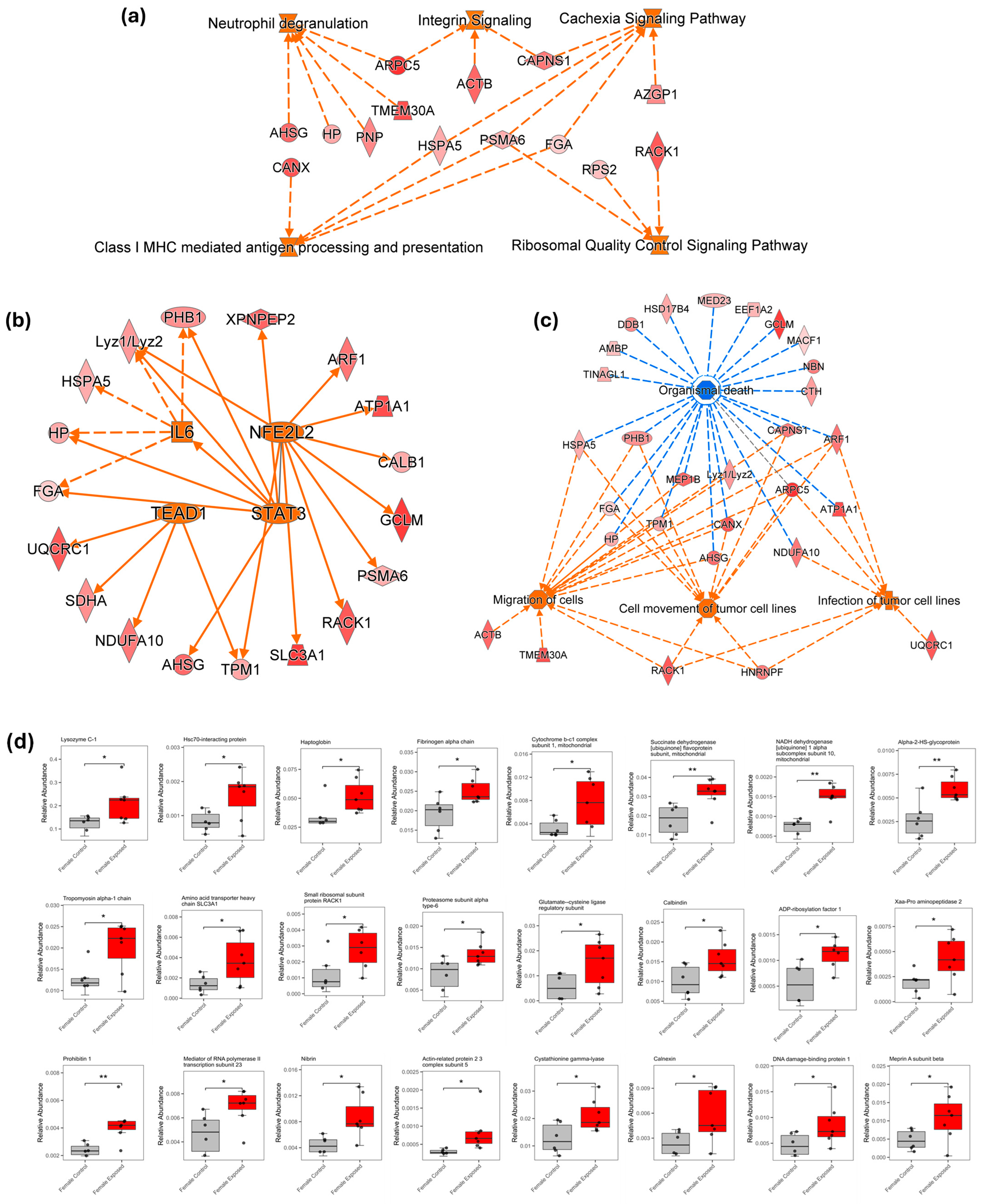 Biomolecules 15 01399 g006 Biomolecules 15 01399 g006