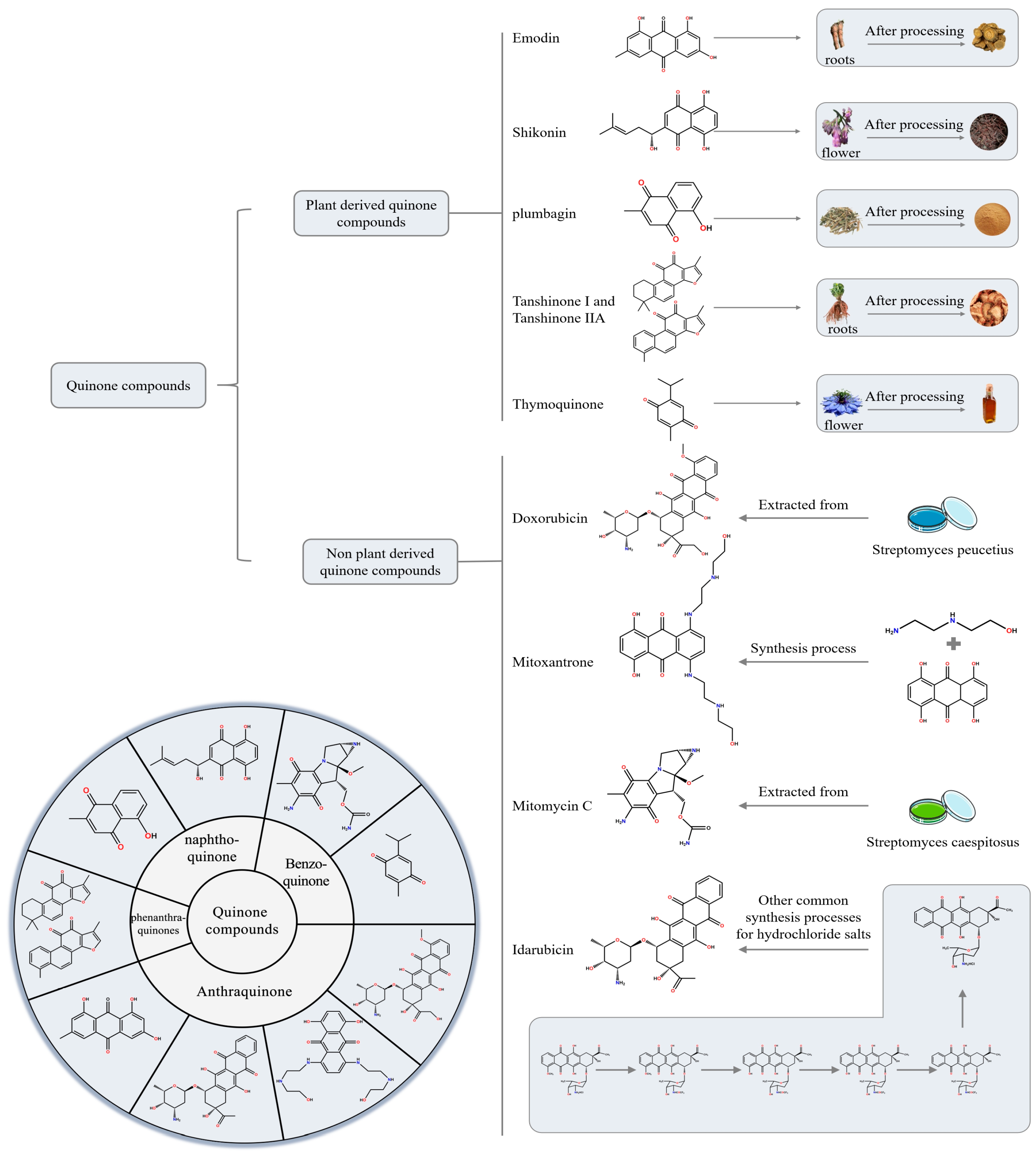 Biomolecules 15 01400 g001 Biomolecules 15 01400 g001