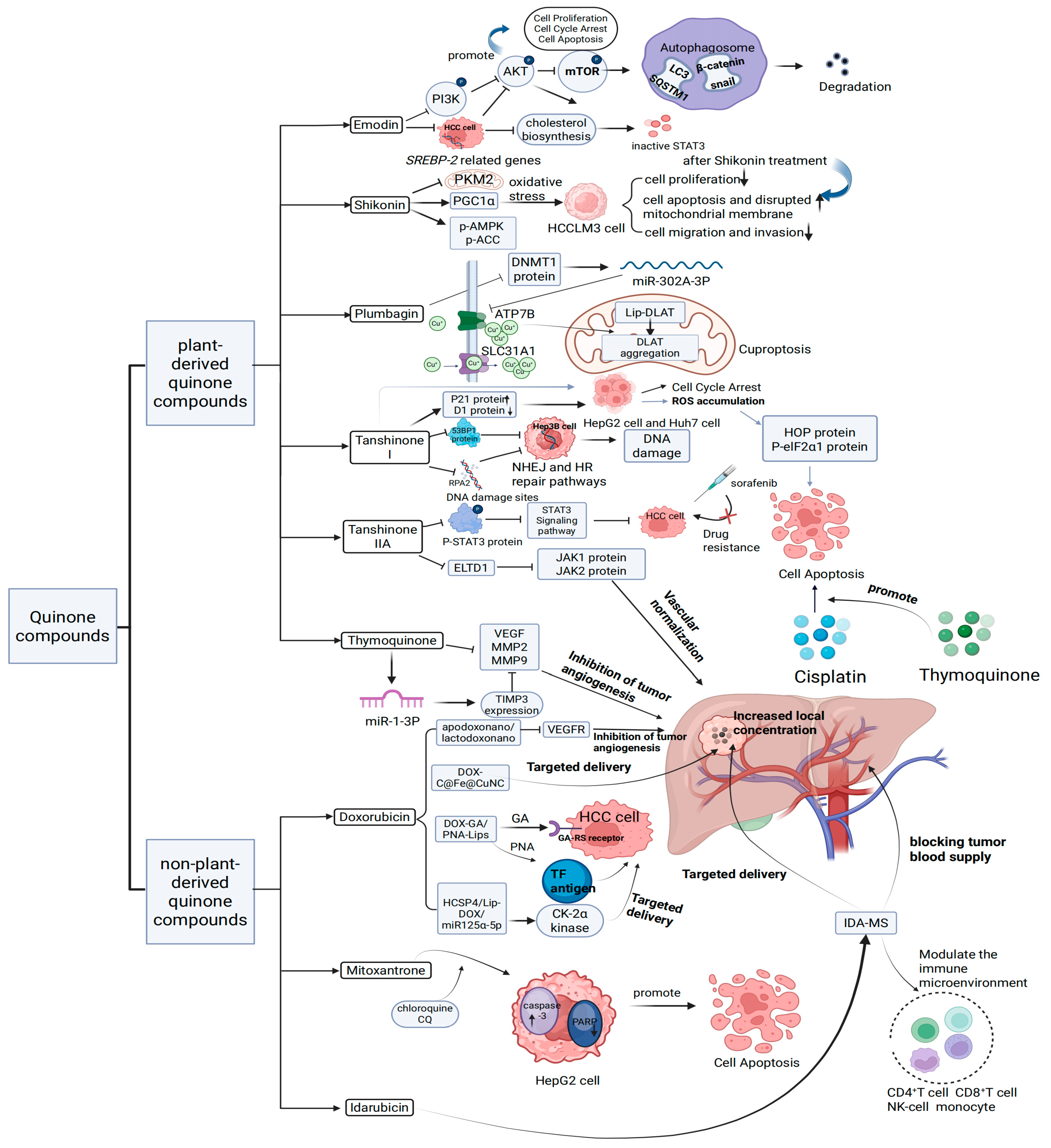 Biomolecules 15 01400 g002 Biomolecules 15 01400 g002