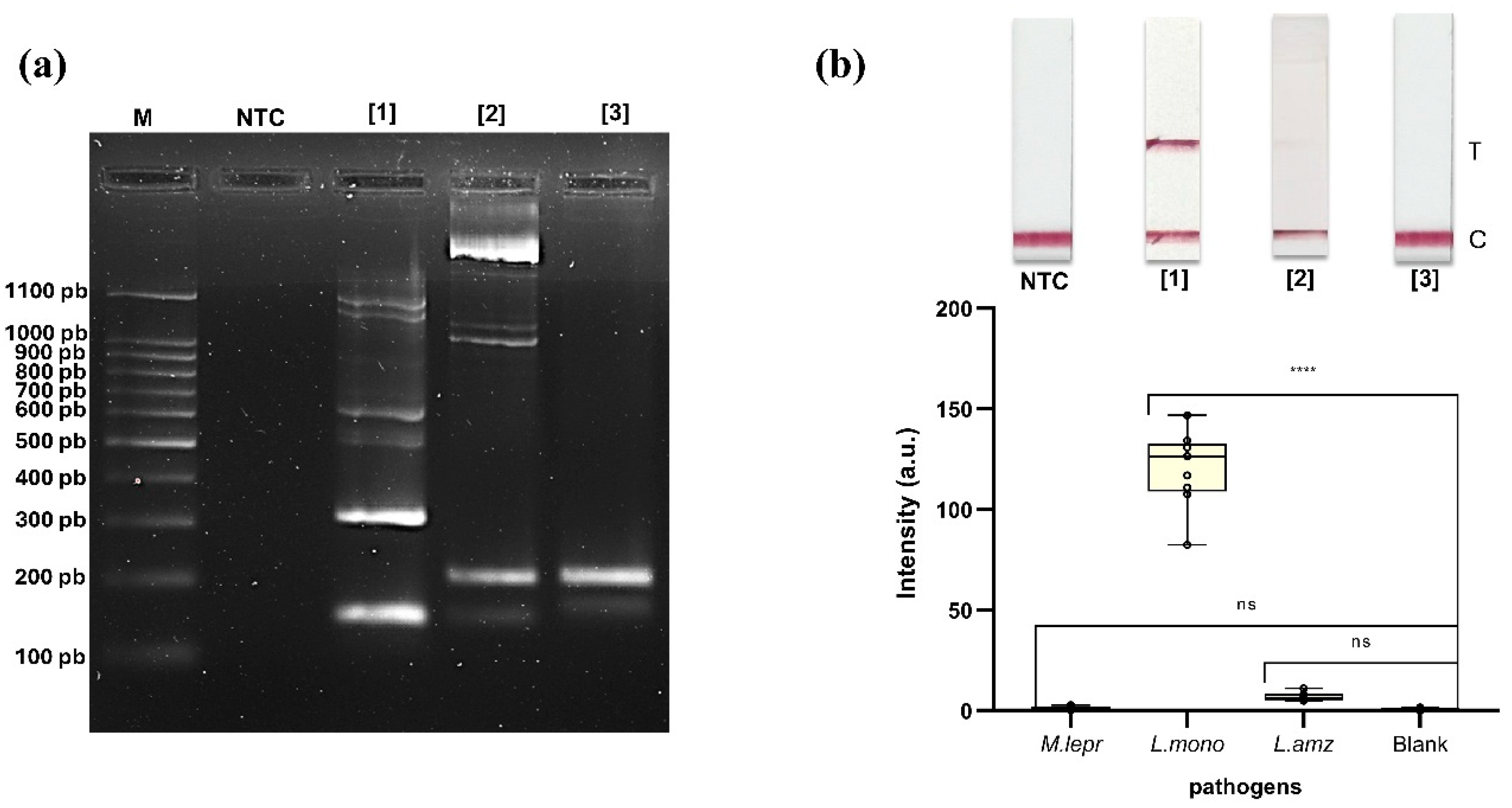 Biomolecules 15 01404 g003 Biomolecules 15 01404 g003