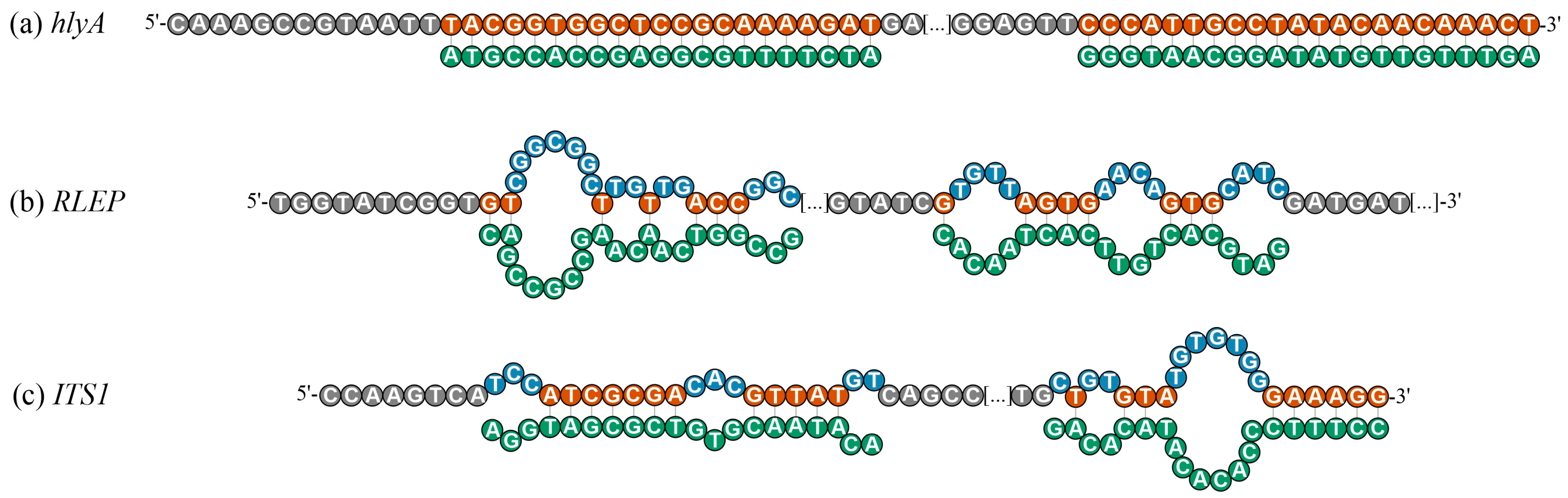 Biomolecules 15 01404 g004 Biomolecules 15 01404 g004