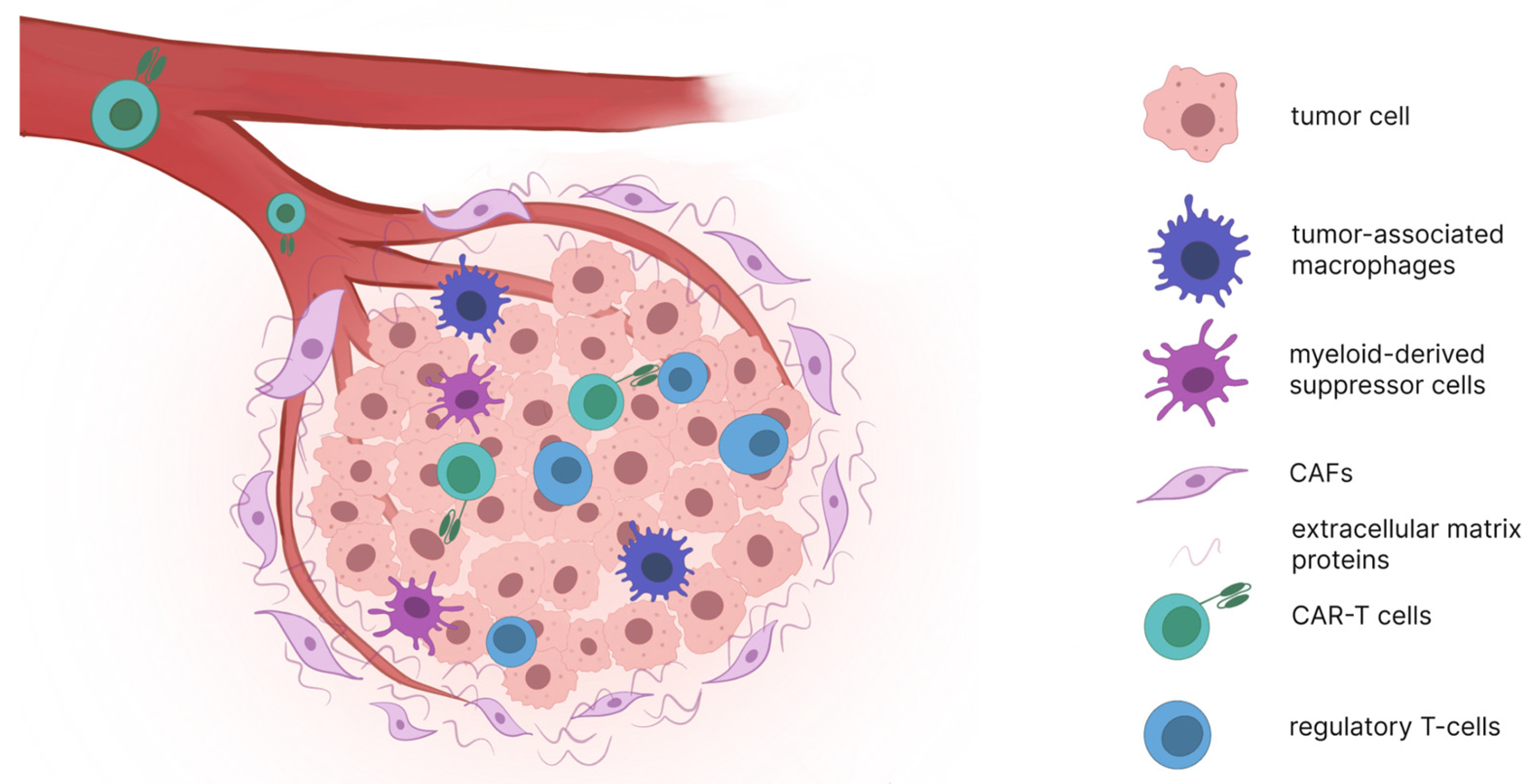 Biomolecules 15 01407 g002 Biomolecules 15 01407 g002