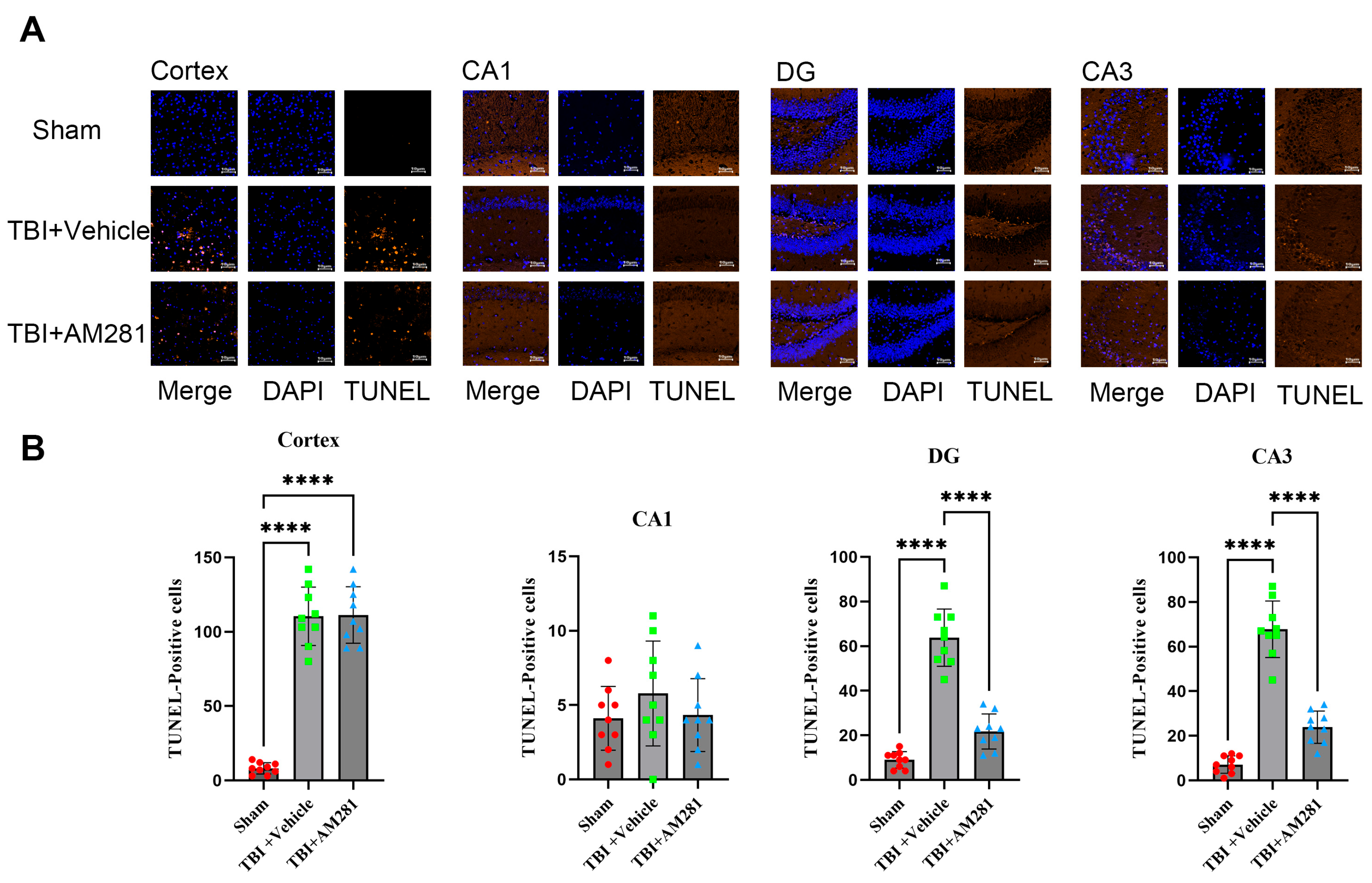 Biomolecules 15 01408 g003 Biomolecules 15 01408 g003