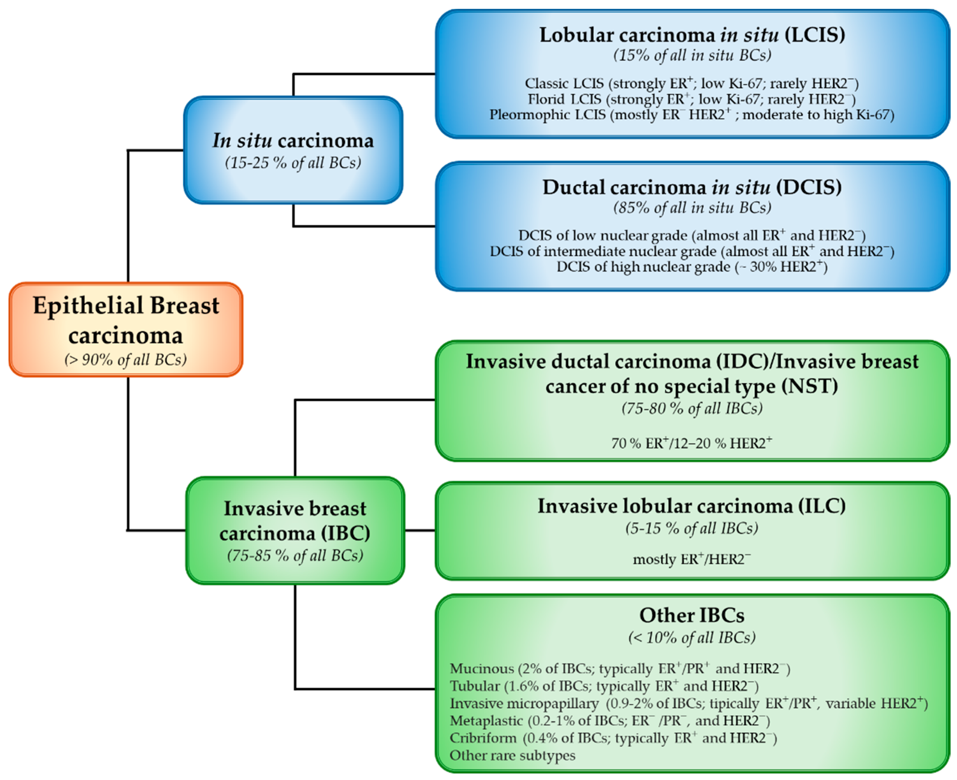 Biomolecules 15 01409 g001 Biomolecules 15 01409 g001