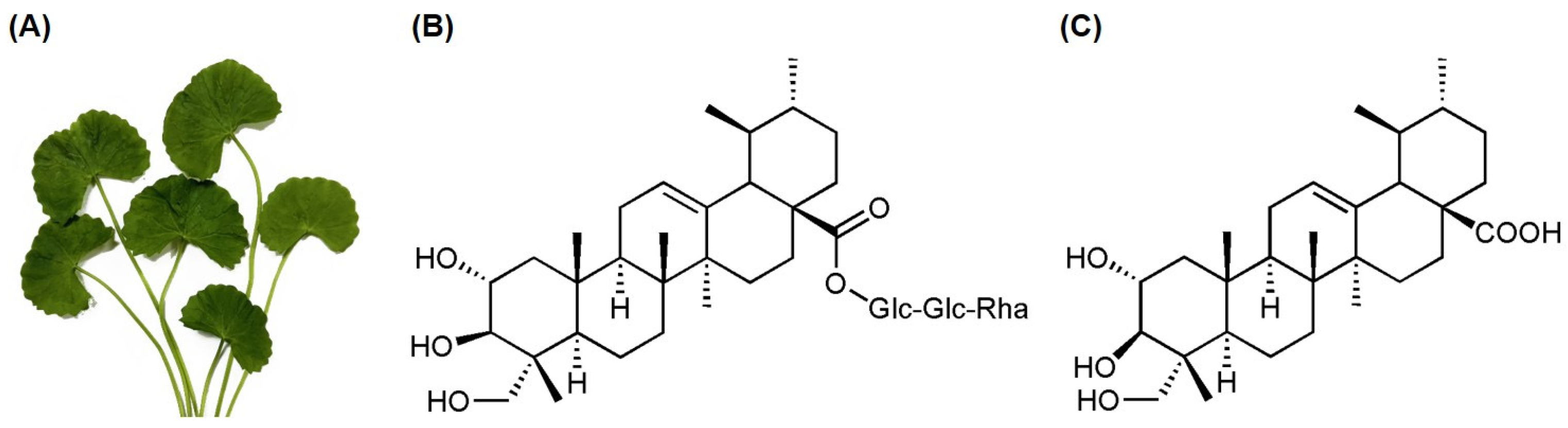 Biomolecules 15 01410 g001 Biomolecules 15 01410 g001