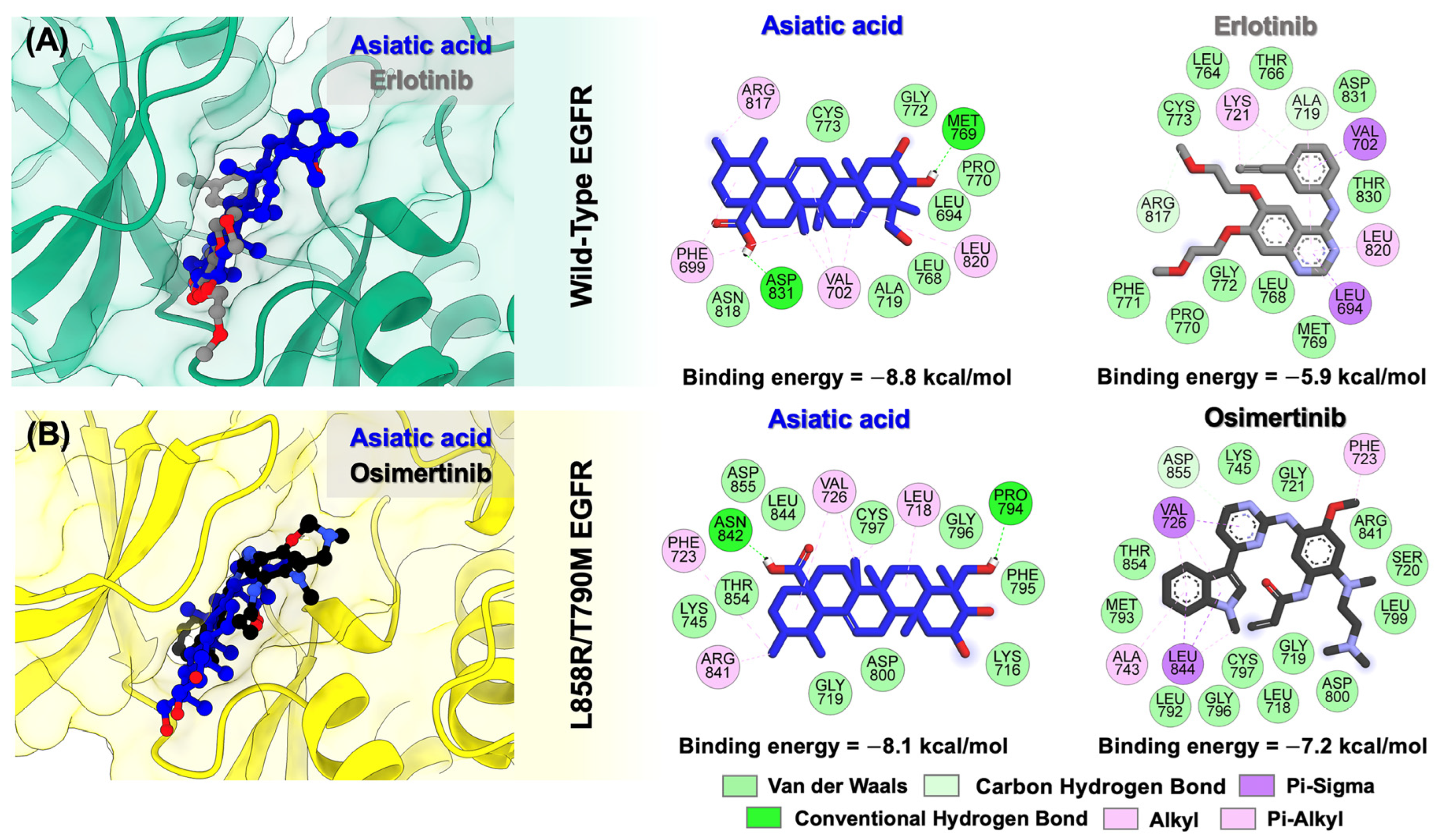 Biomolecules 15 01410 g003 Biomolecules 15 01410 g003