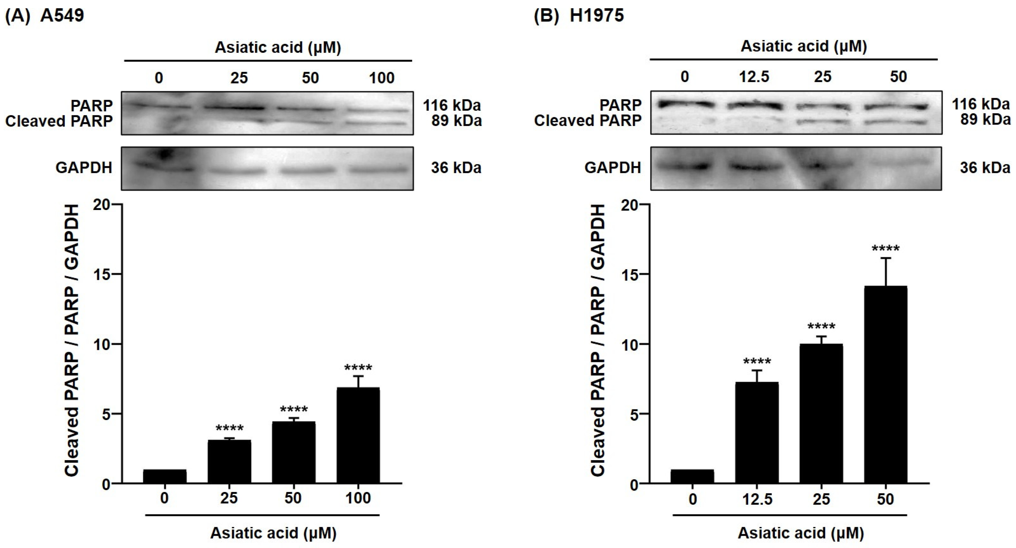 Biomolecules 15 01410 g006 Biomolecules 15 01410 g006