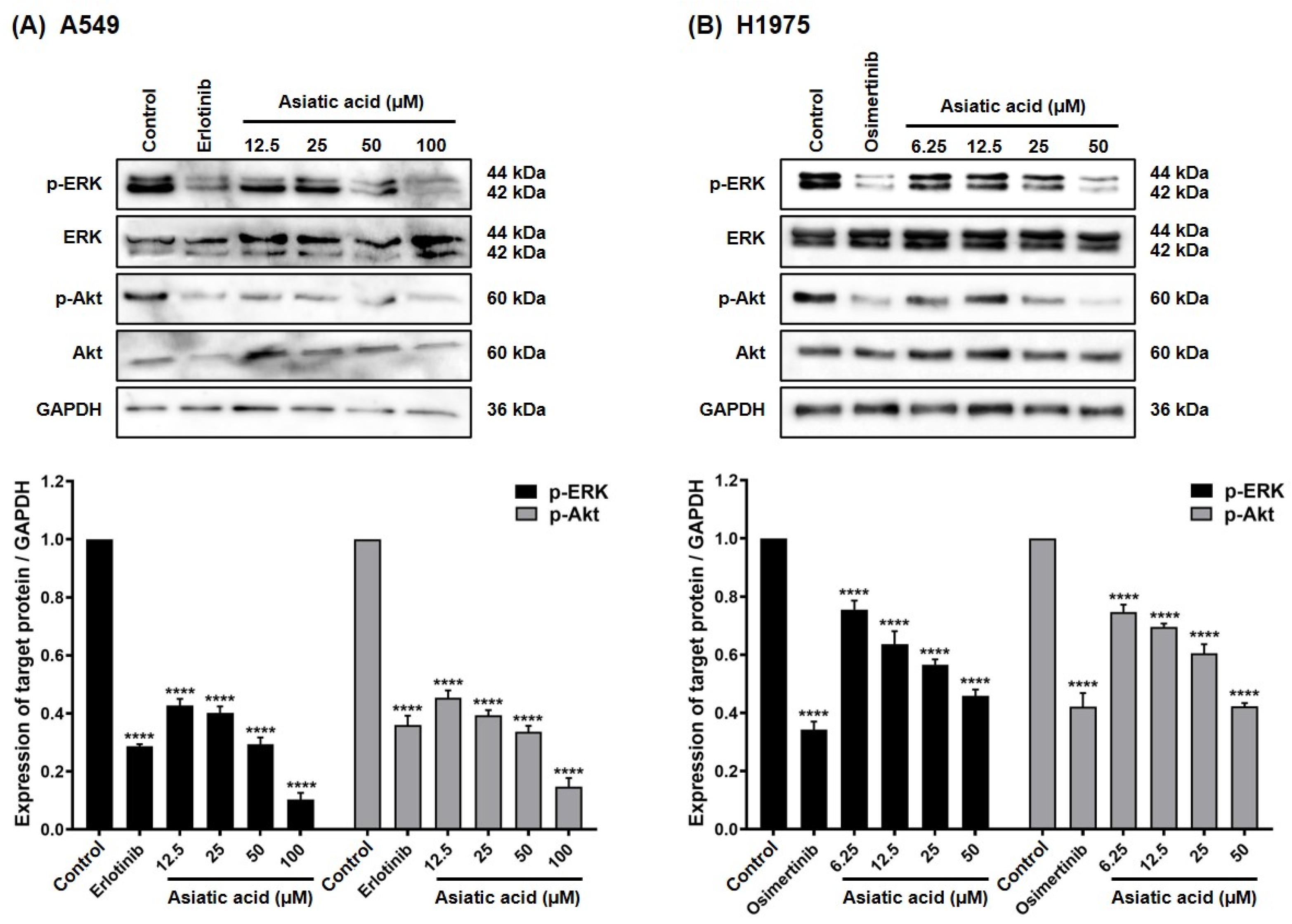 Biomolecules 15 01410 g007 Biomolecules 15 01410 g007