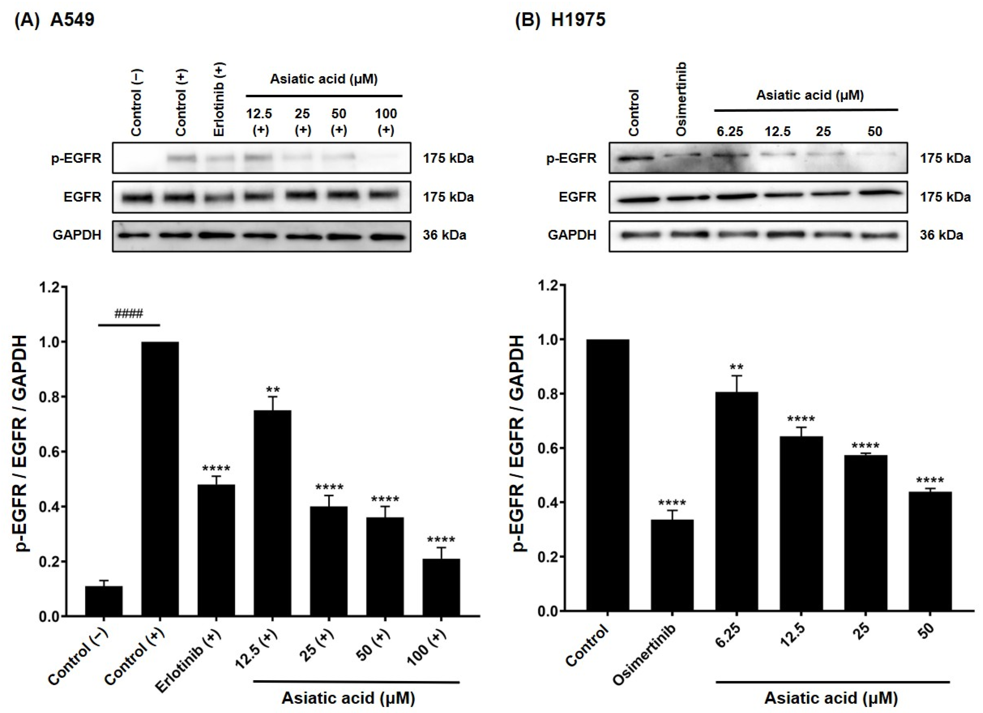 Biomolecules 15 01410 g008 Biomolecules 15 01410 g008