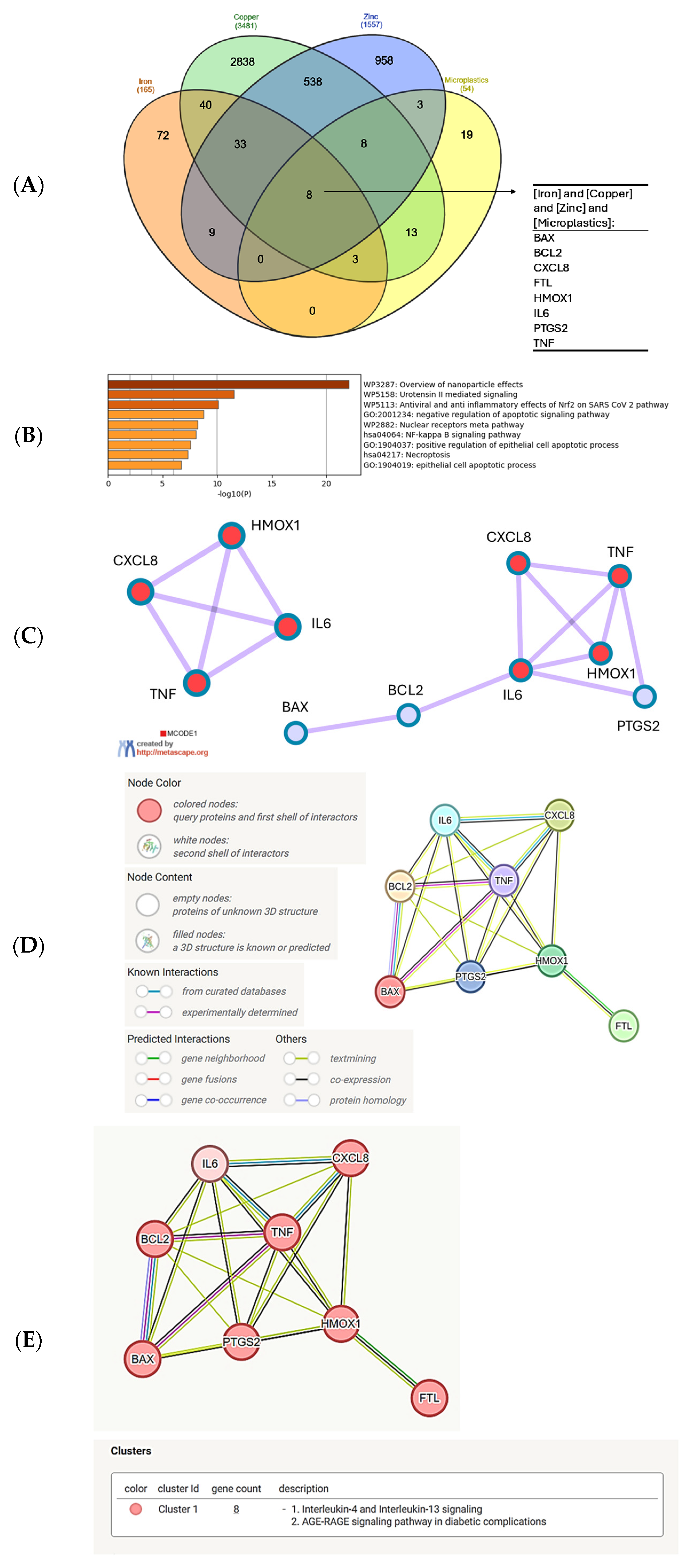 Biomolecules 15 01418 g003 Biomolecules 15 01418 g003