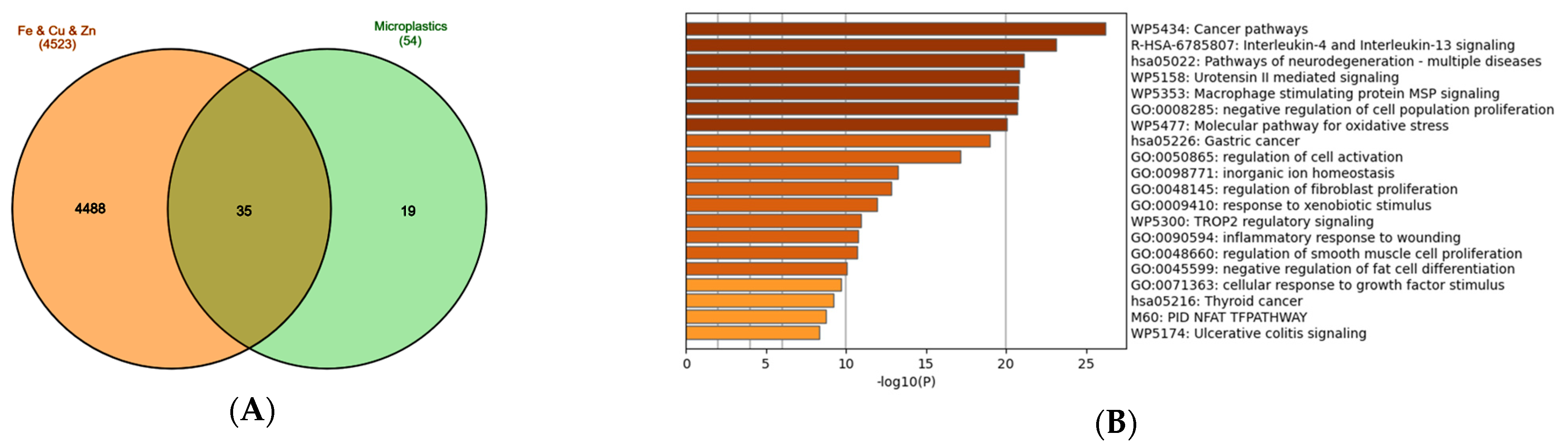 Biomolecules 15 01418 g004a Biomolecules 15 01418 g004a