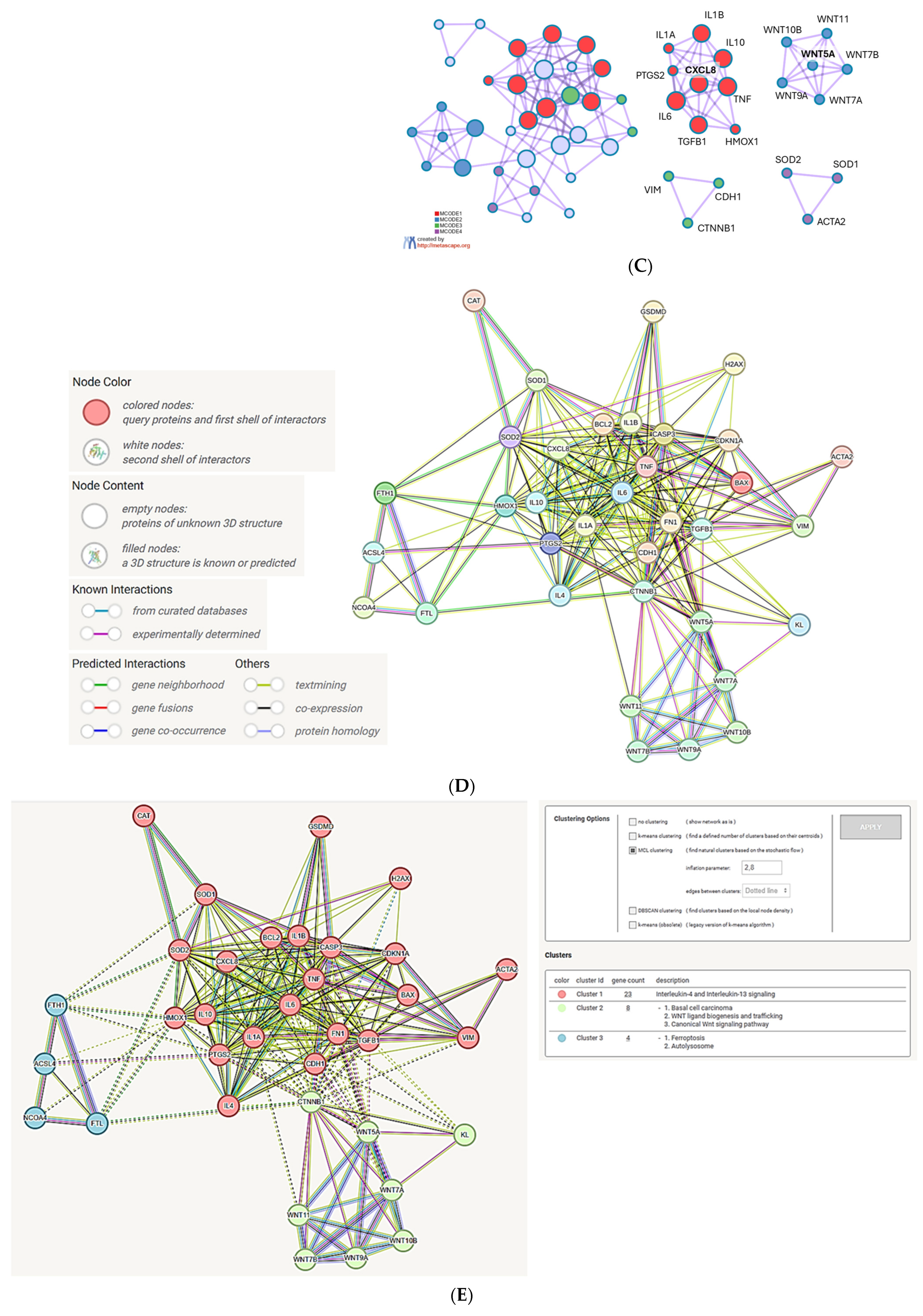 Biomolecules 15 01418 g004b Biomolecules 15 01418 g004b