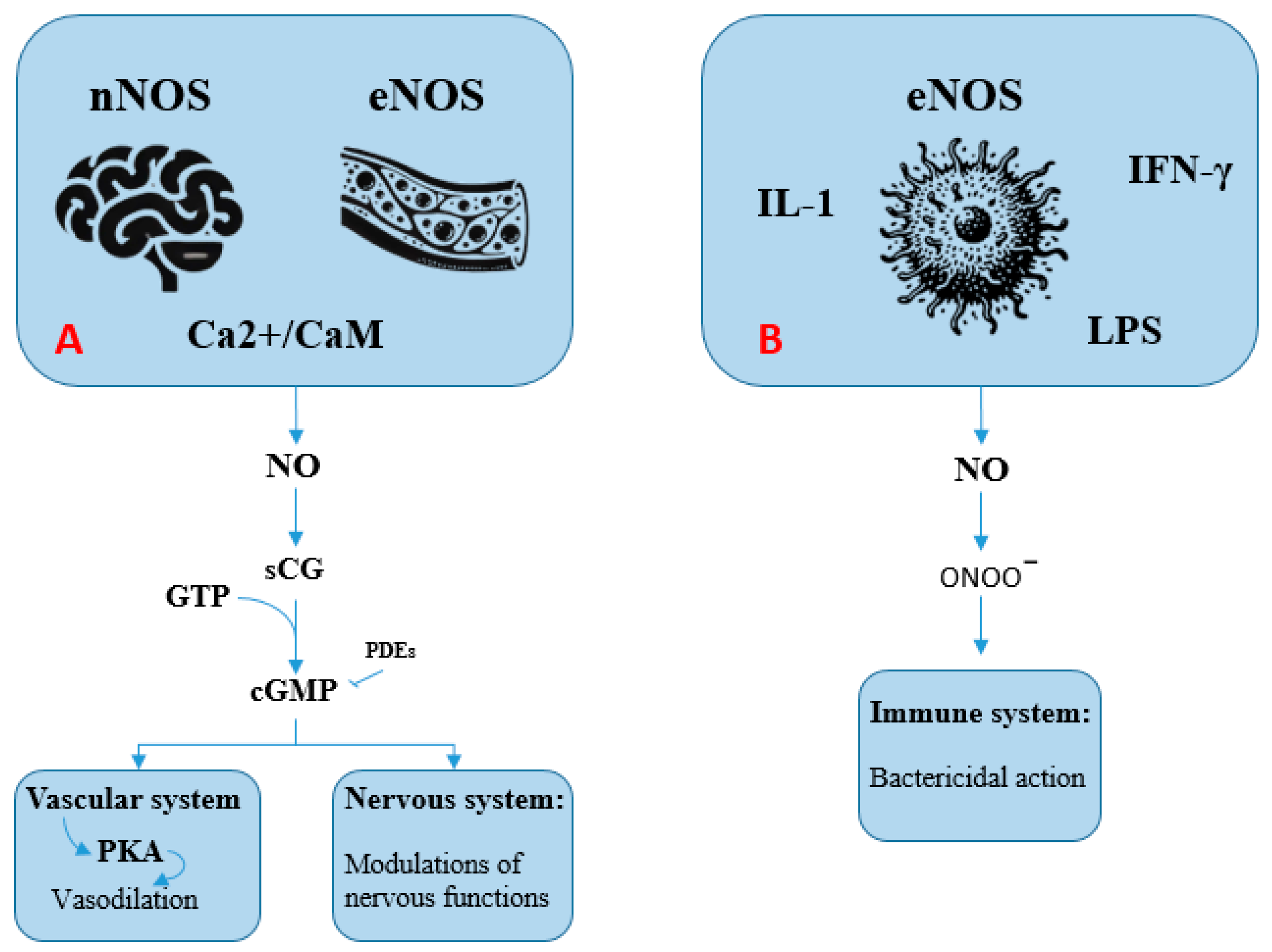 Biomolecules 15 01420 g001 Biomolecules 15 01420 g001