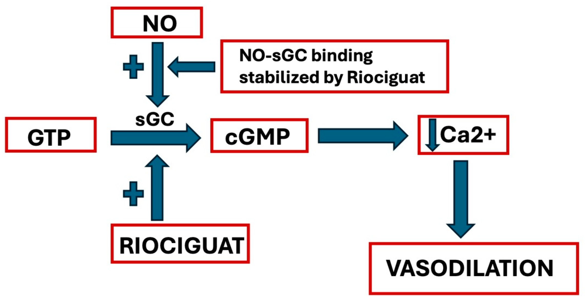Biomolecules 15 01420 g002 Biomolecules 15 01420 g002