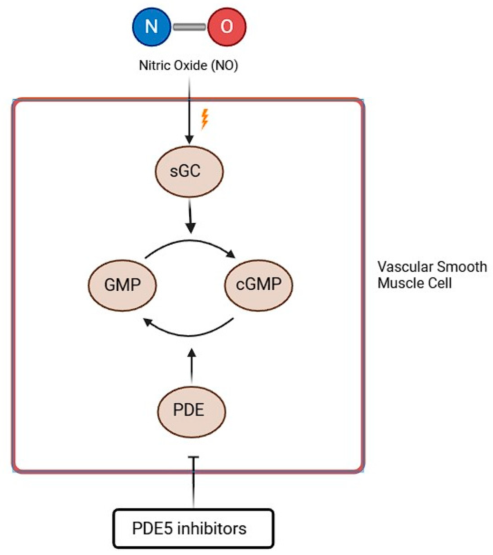 Biomolecules 15 01420 g004 Biomolecules 15 01420 g004