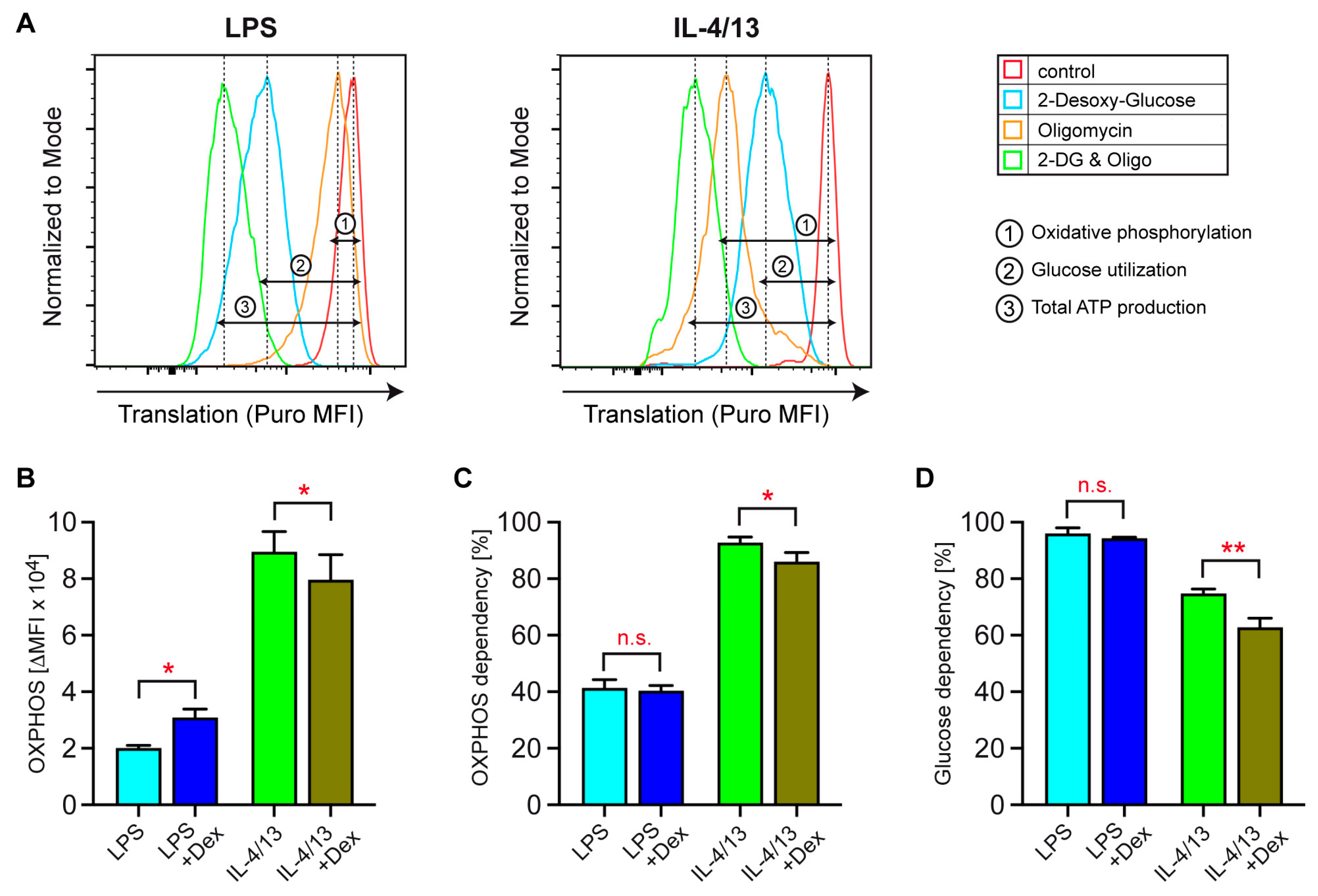Biomolecules 15 01422 g007