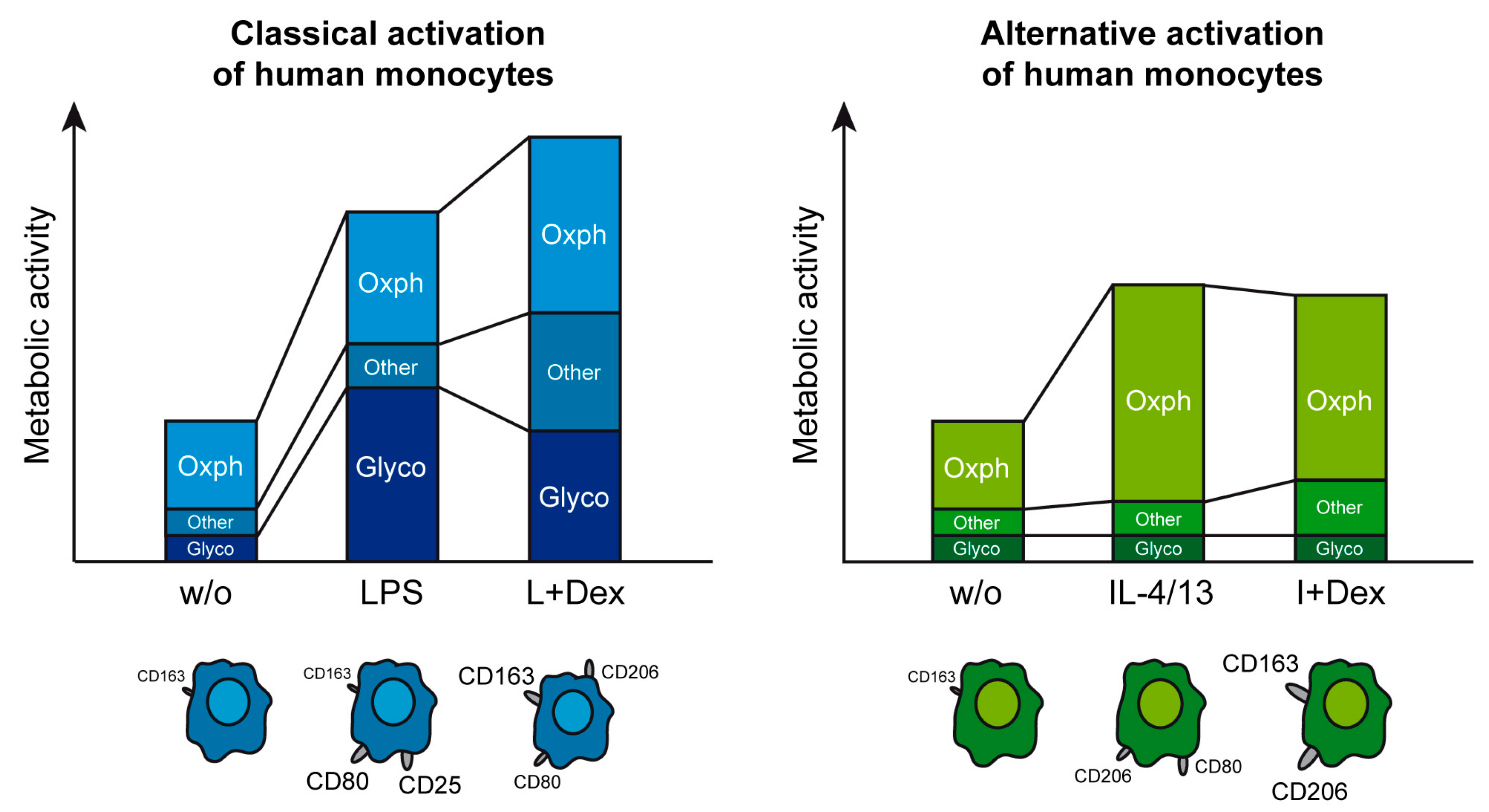 Biomolecules 15 01422 g008