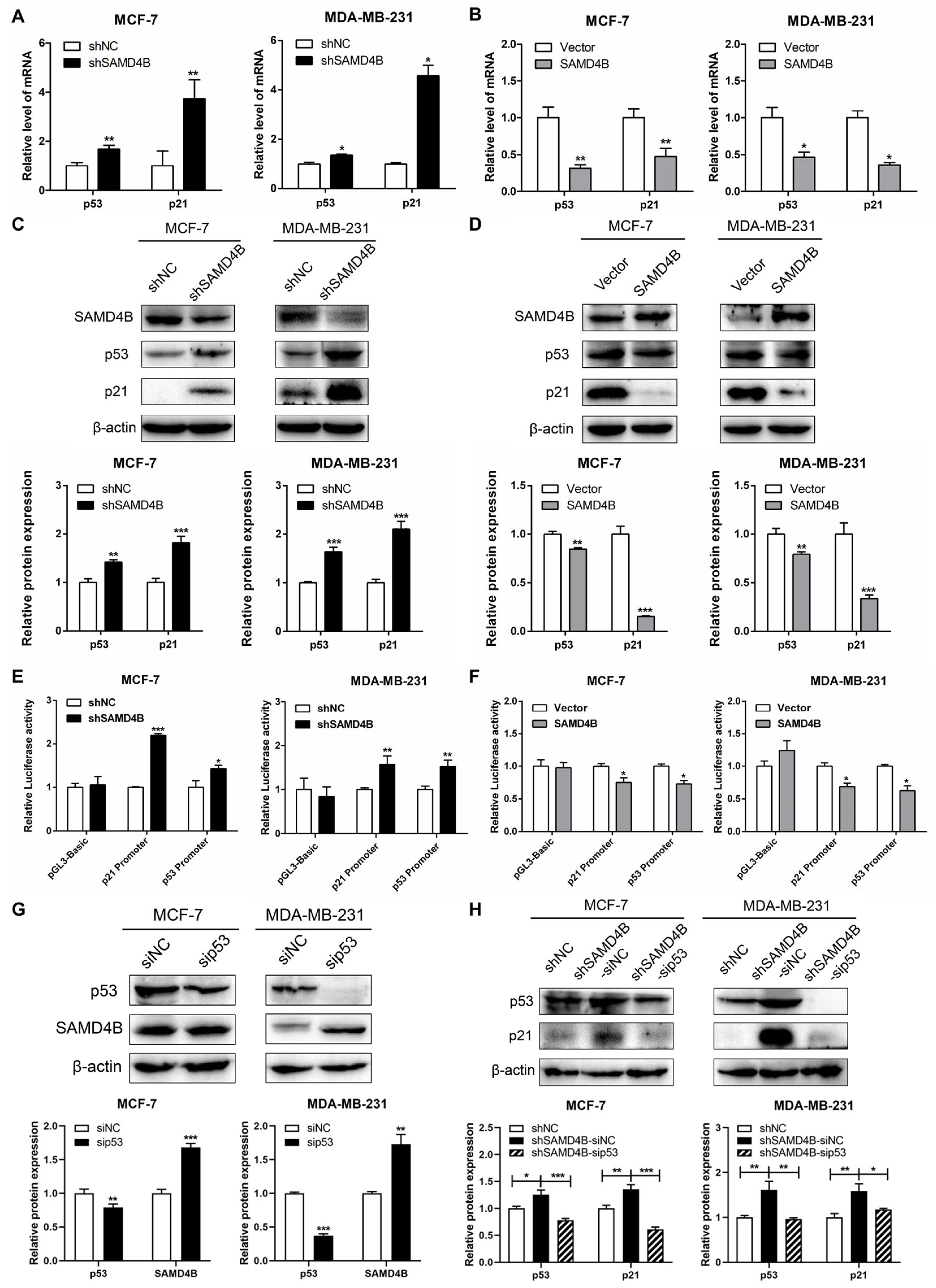 Biomolecules 15 01423 g004