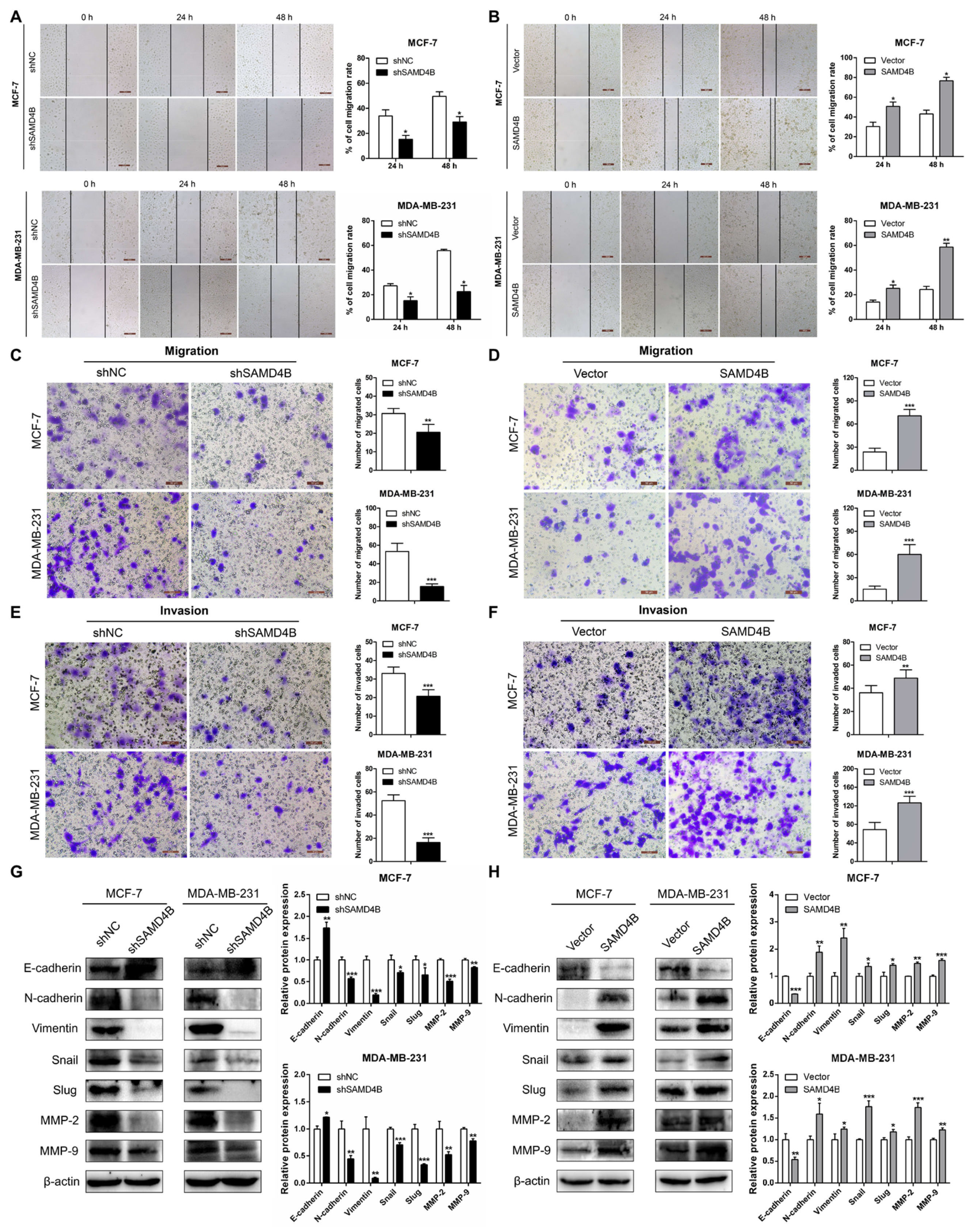 Biomolecules 15 01423 g005