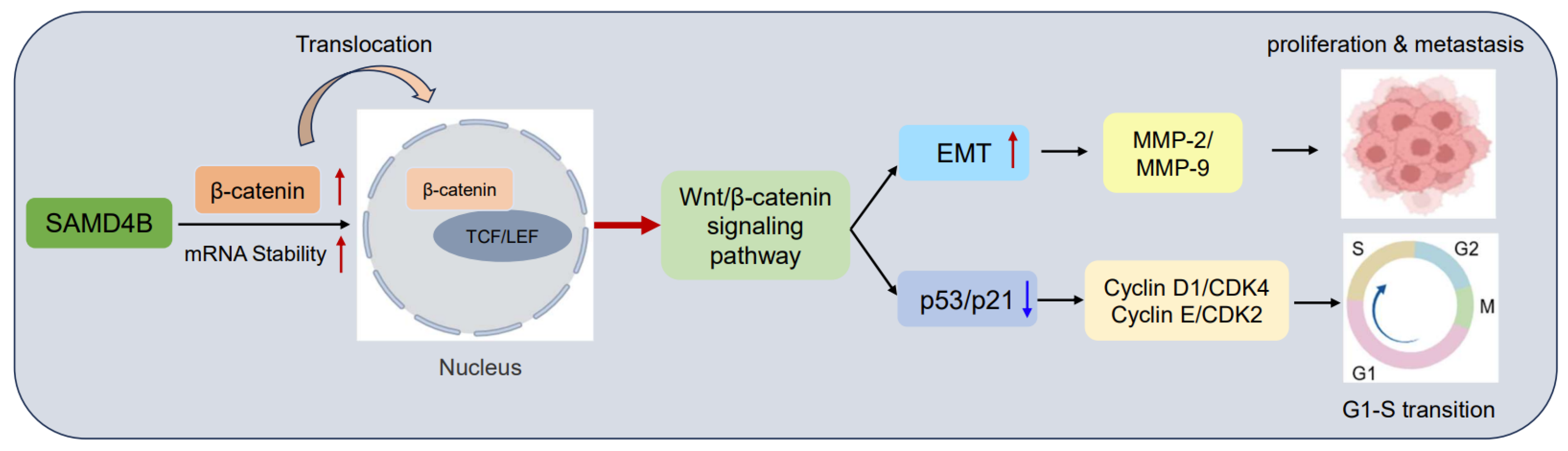 Biomolecules 15 01423 g008