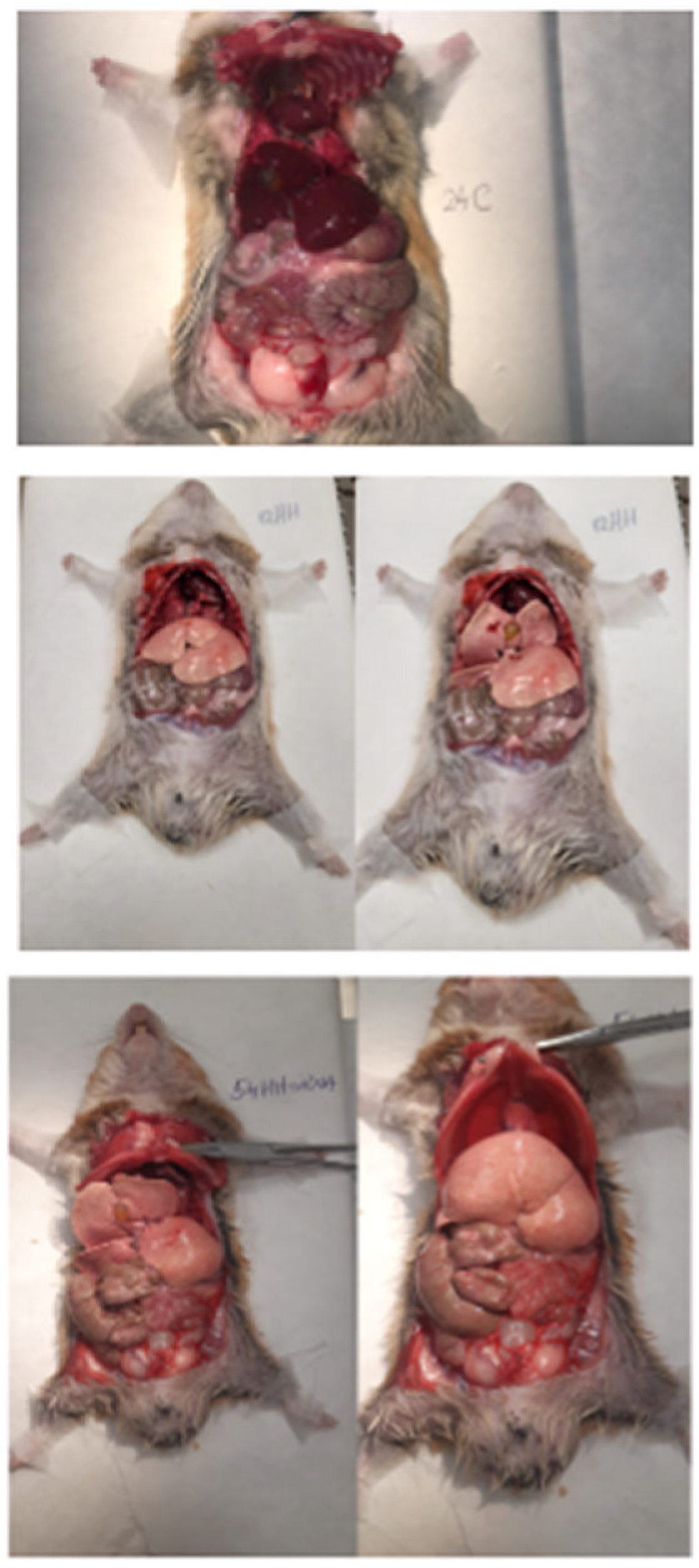 Biomolecules 15 01424 g002