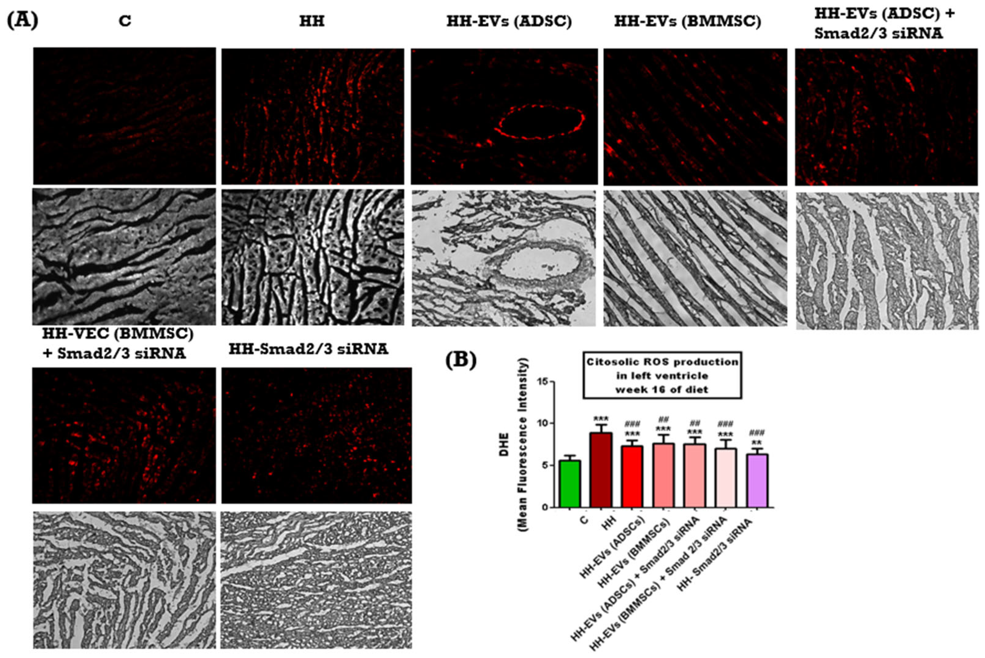 Biomolecules 15 01424 g005