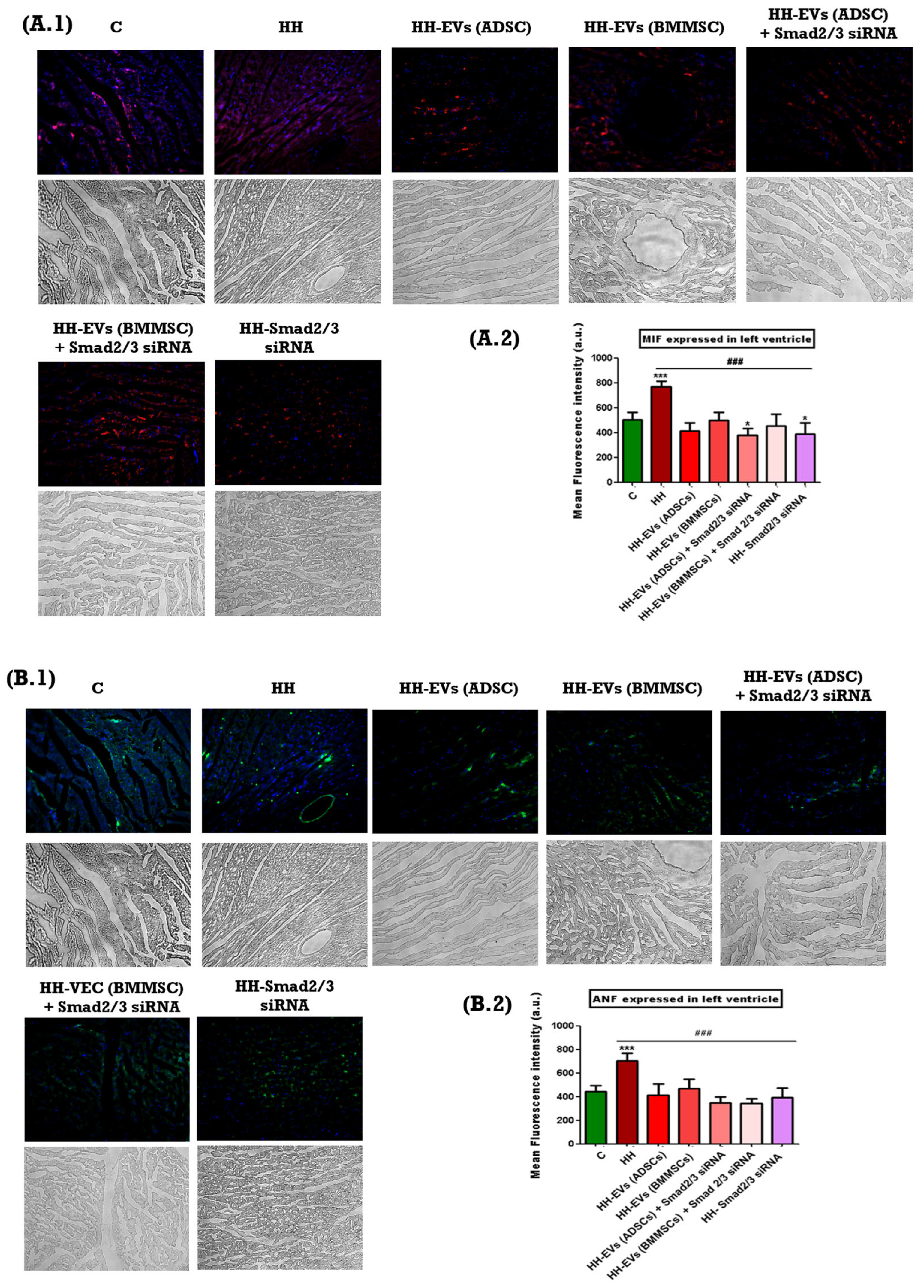 Biomolecules 15 01424 g006a